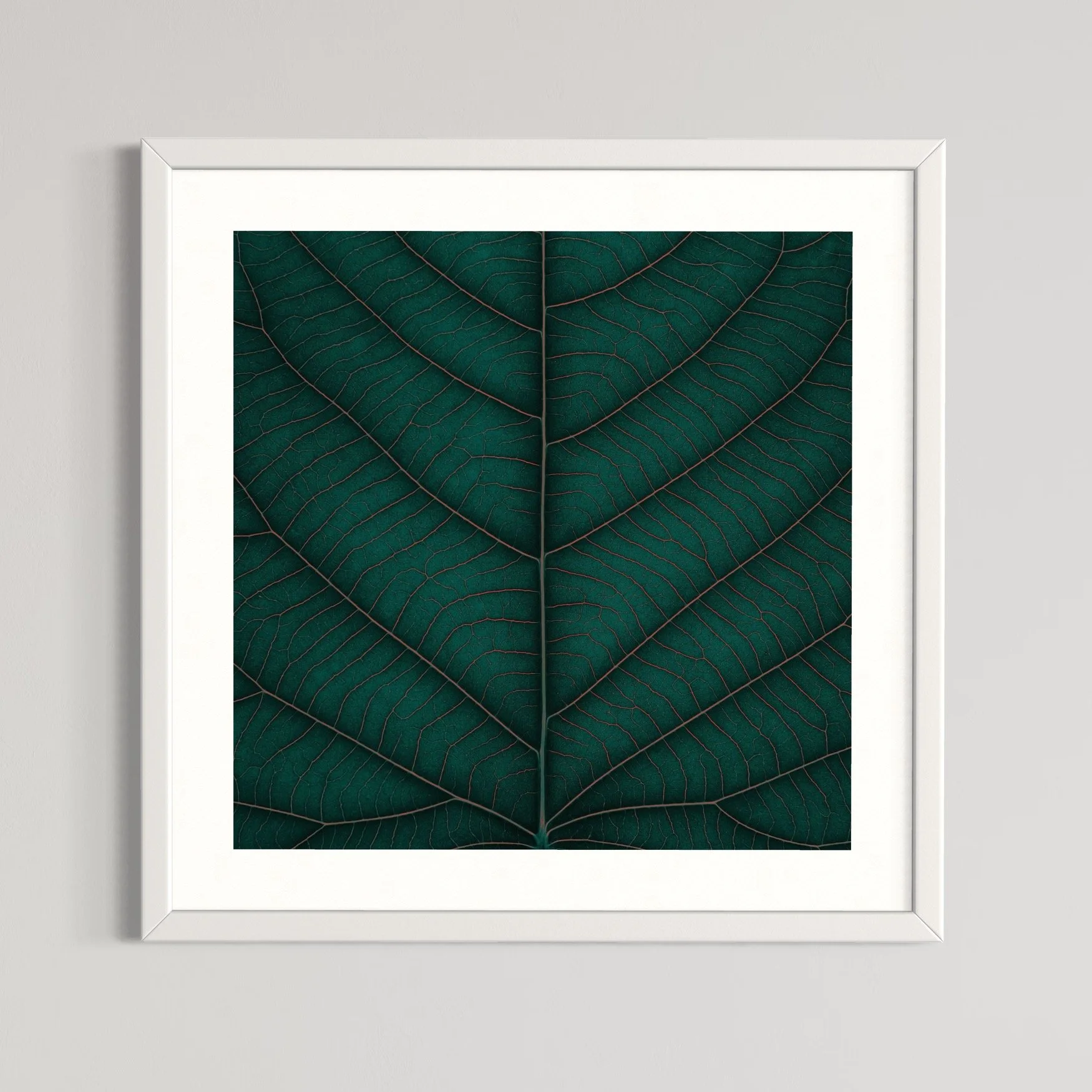 SEMD387 - White Frame.jpeg