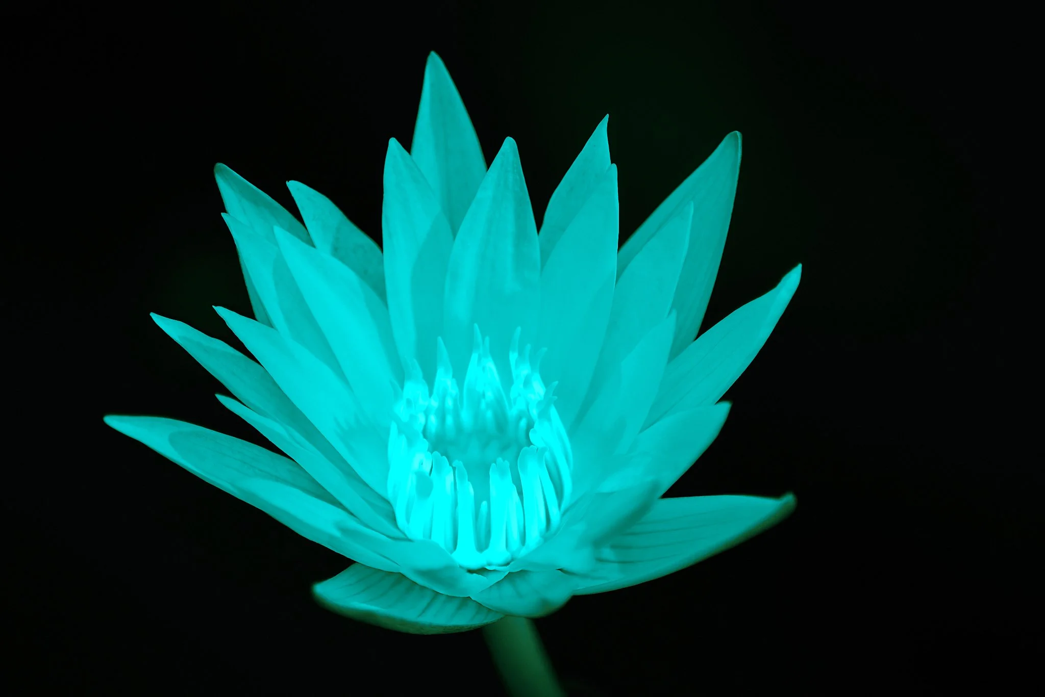 SEMD643 - SEM_7632 - Ratio 2x3.jpg