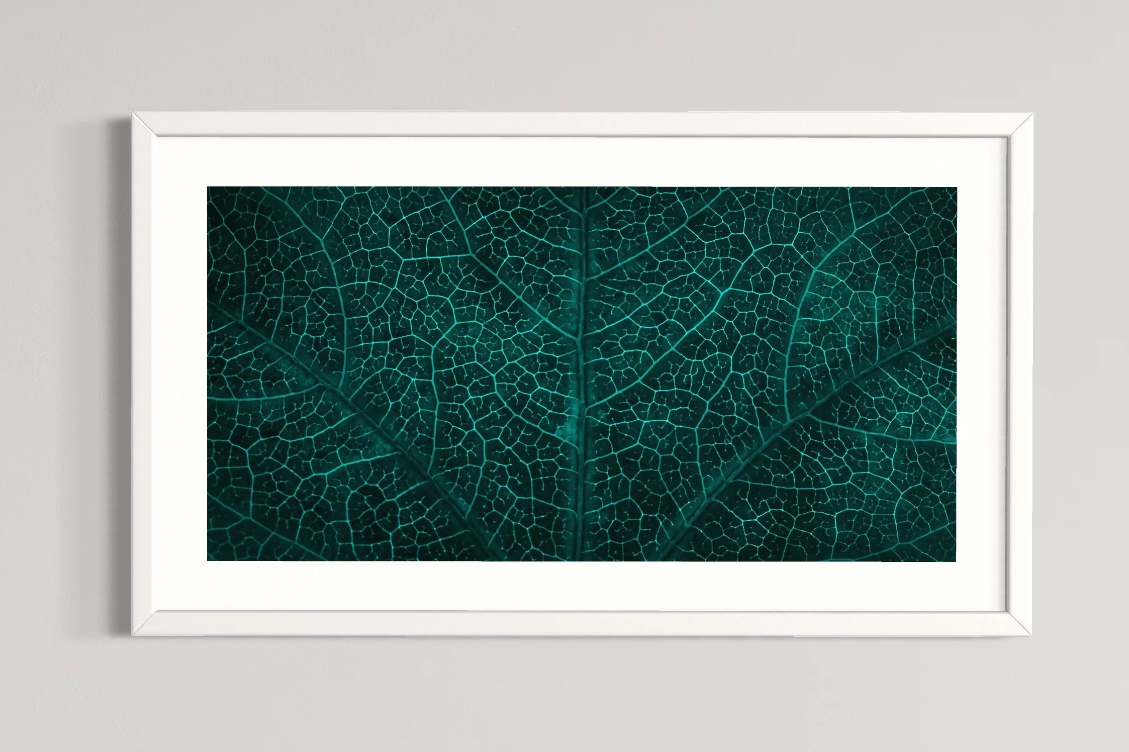 SEMD345 - White Frame.JPG