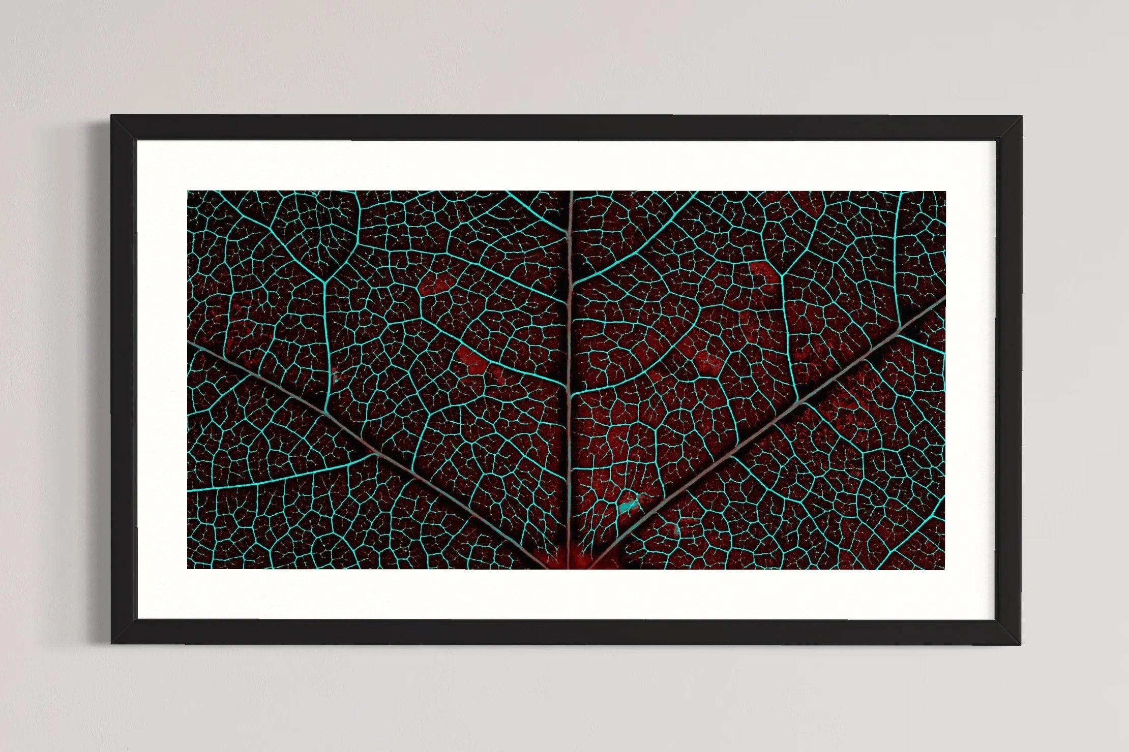 SEMD350 - Black Frame.JPG
