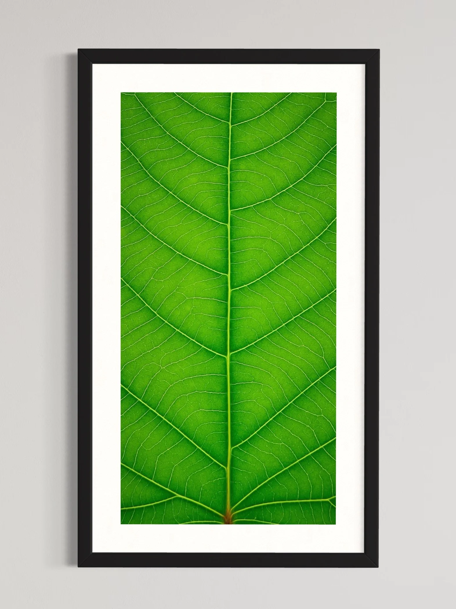 SEMD371 - Black Frame.jpeg