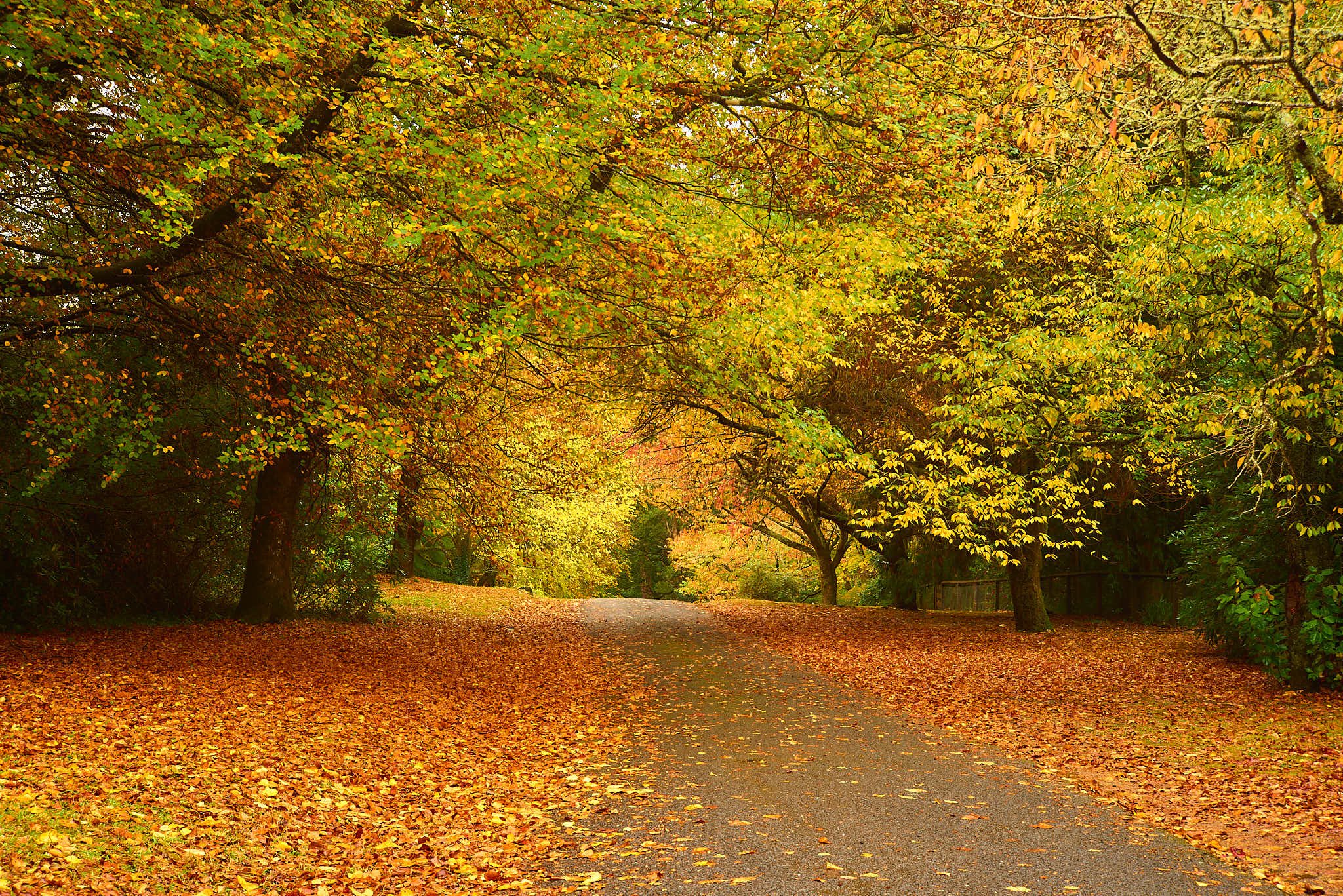 SEMD003-DSC_4930 - Autumn 4 - (F11 - 1-10s - ISO 100) - Ltd.jpg