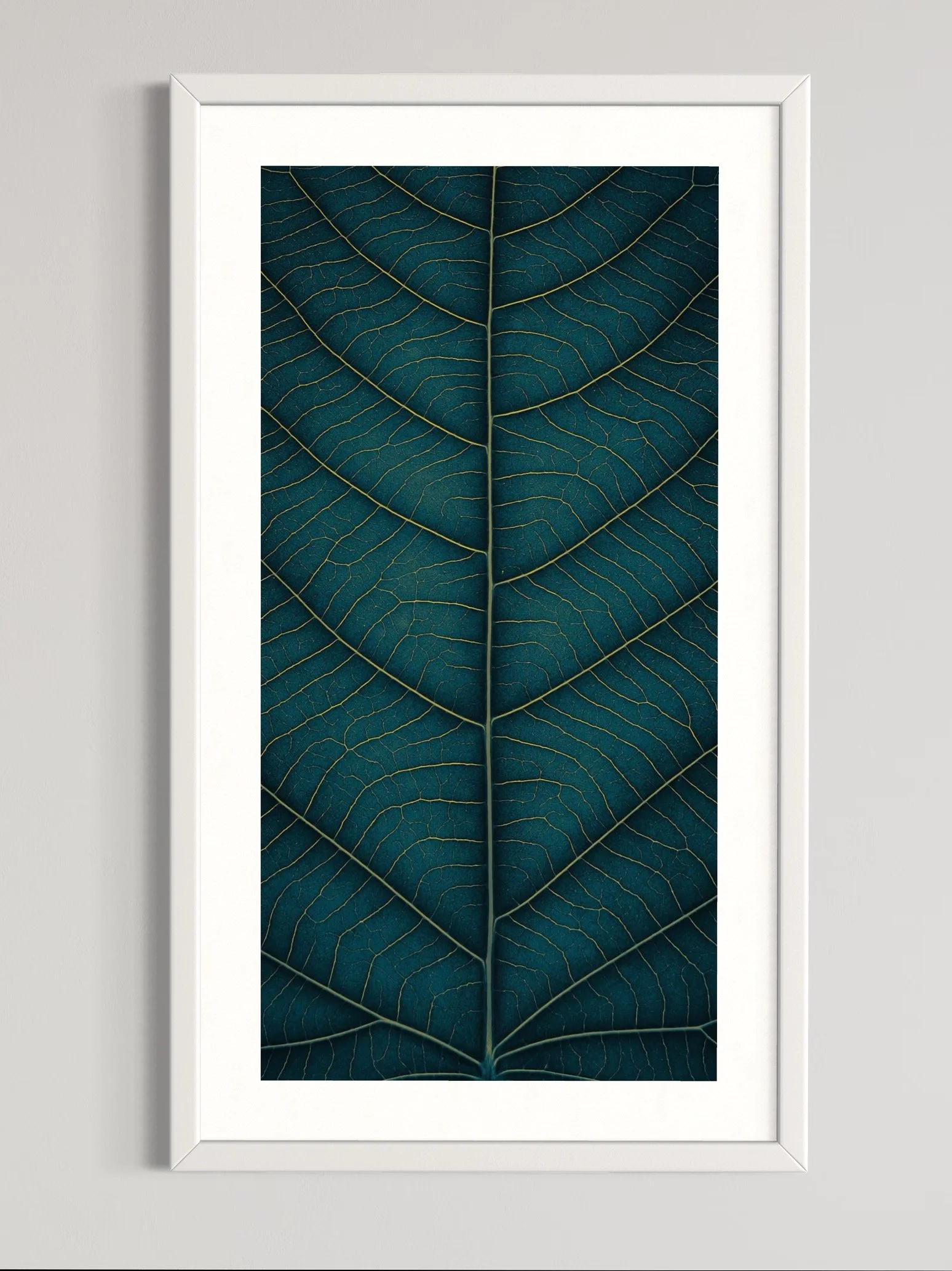 SEMD375 - White Frame.jpeg