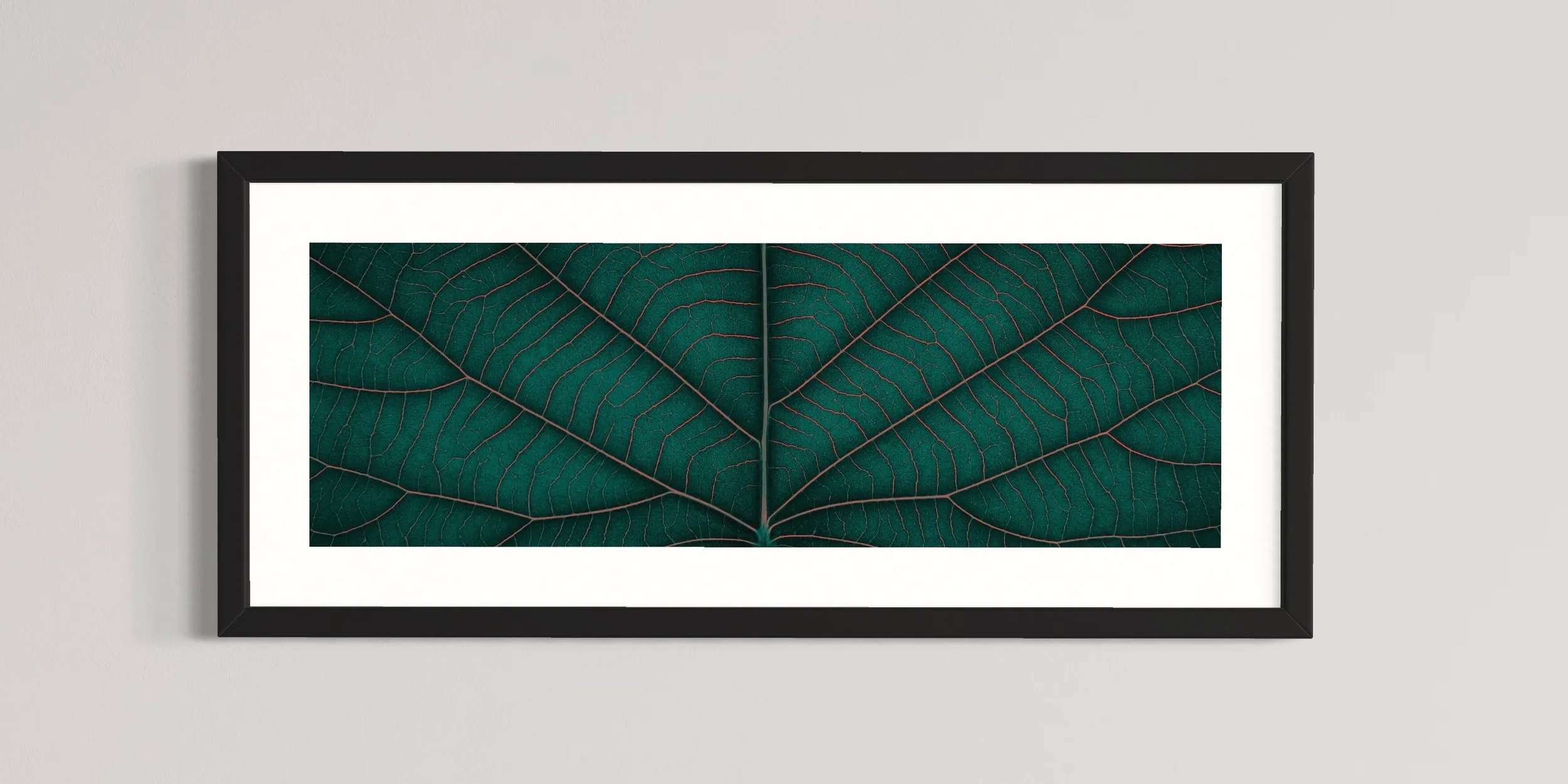 SEMD385 - Black Frame.JPG