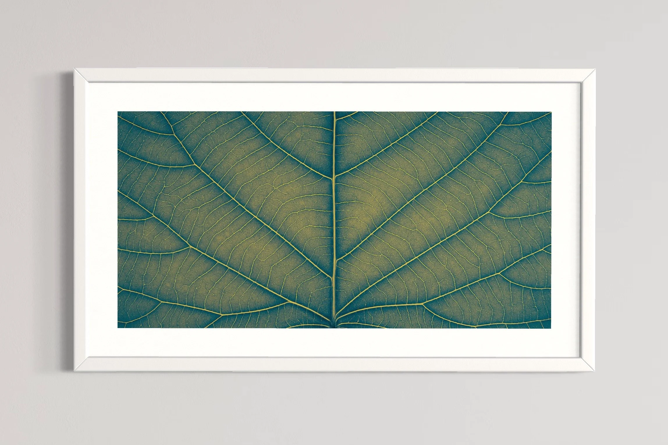 SEMD390 - White Frame.JPG