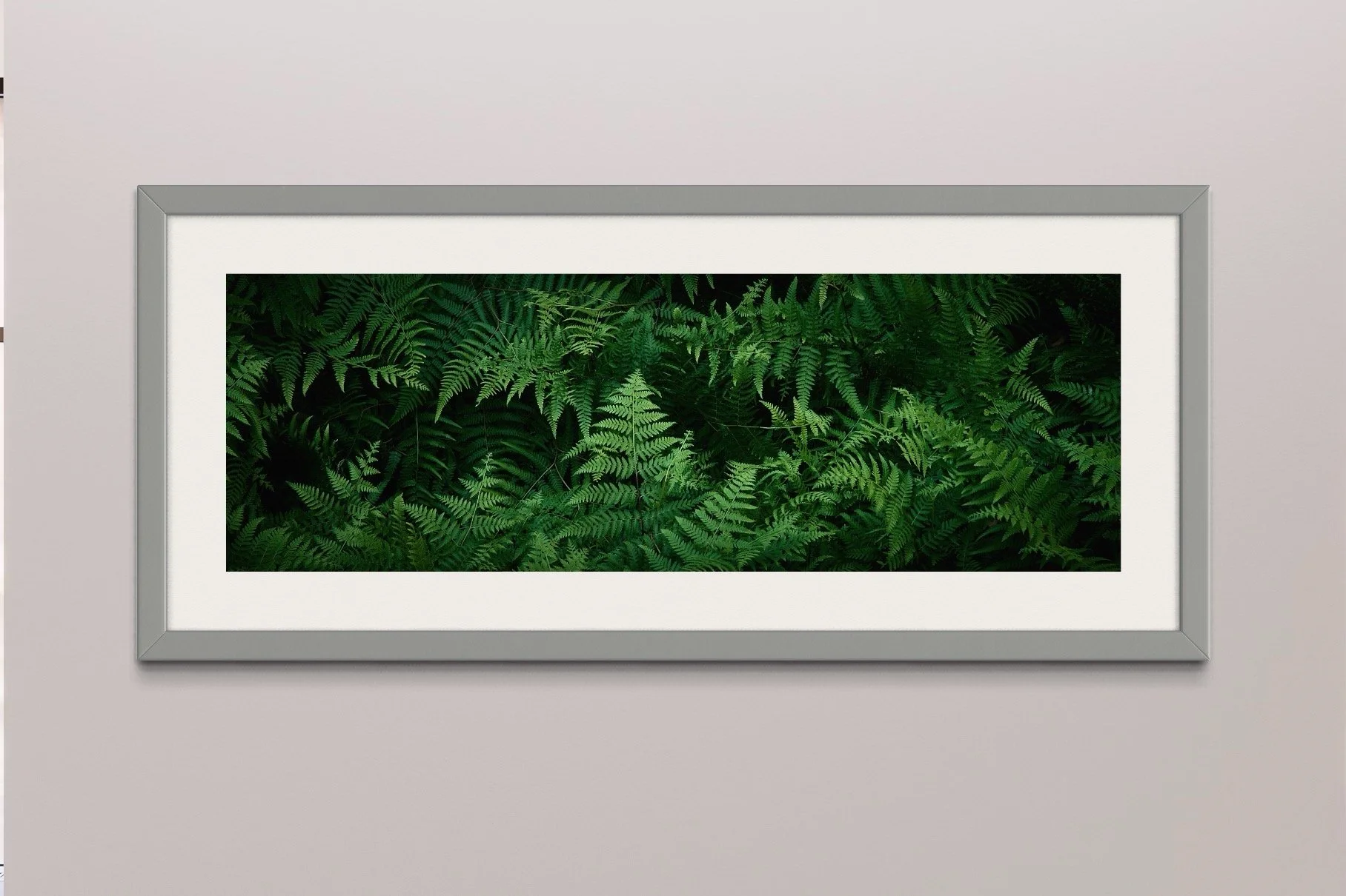 SEMD369 - Silver Frame.JPG