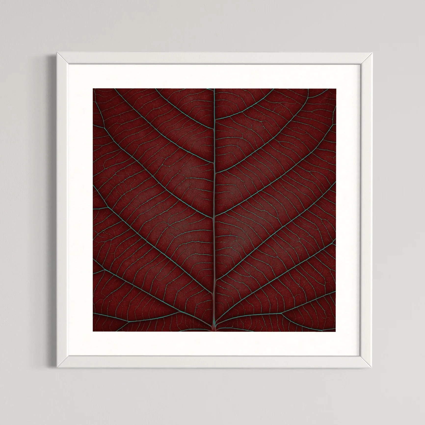 SEMD400 - White Frame.jpeg
