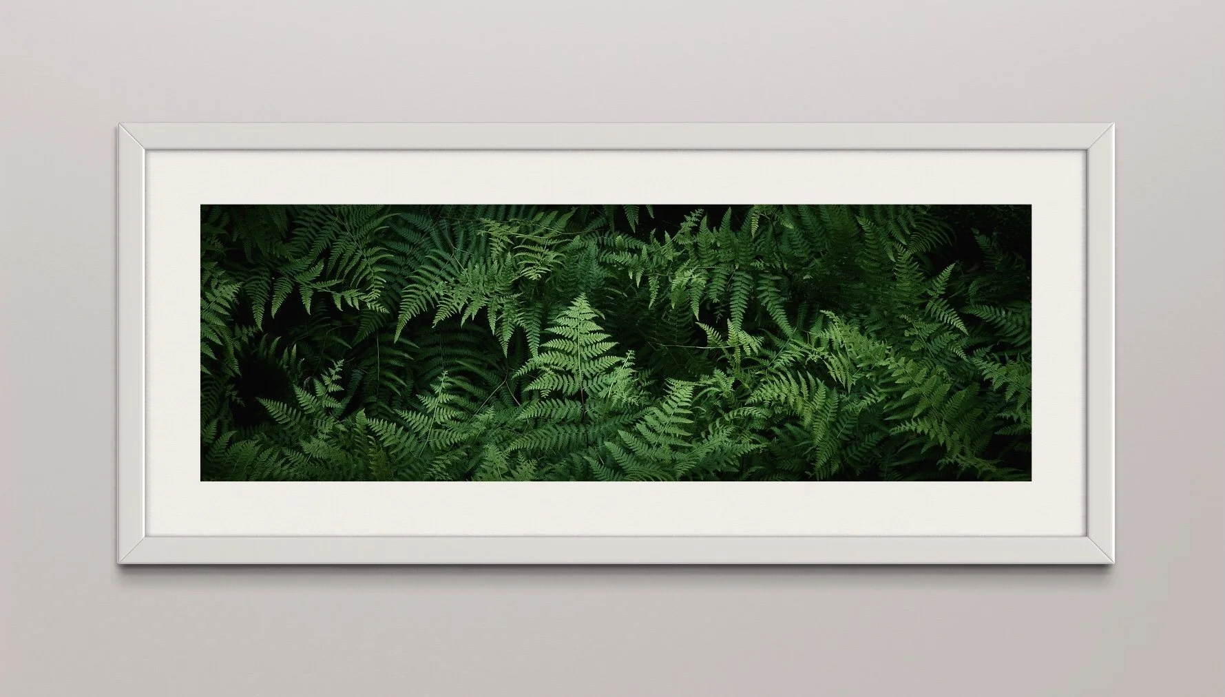 SEMD369 - White Frame.jpg