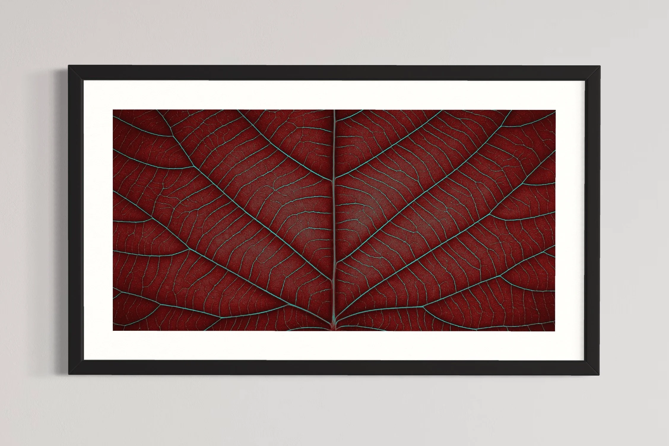 SEMD398 - Black Frame.JPG