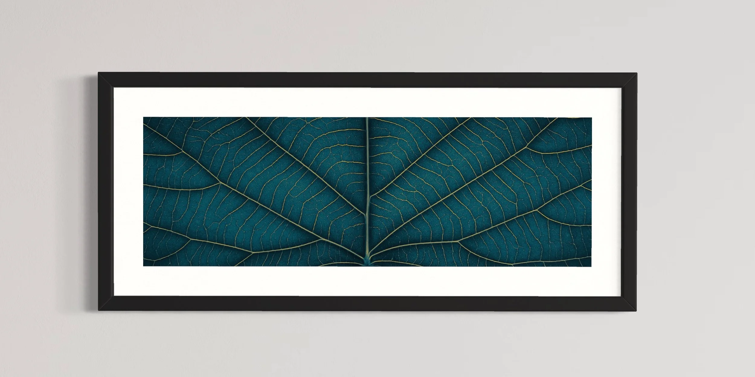 SEMD391 - Black Frame.JPG