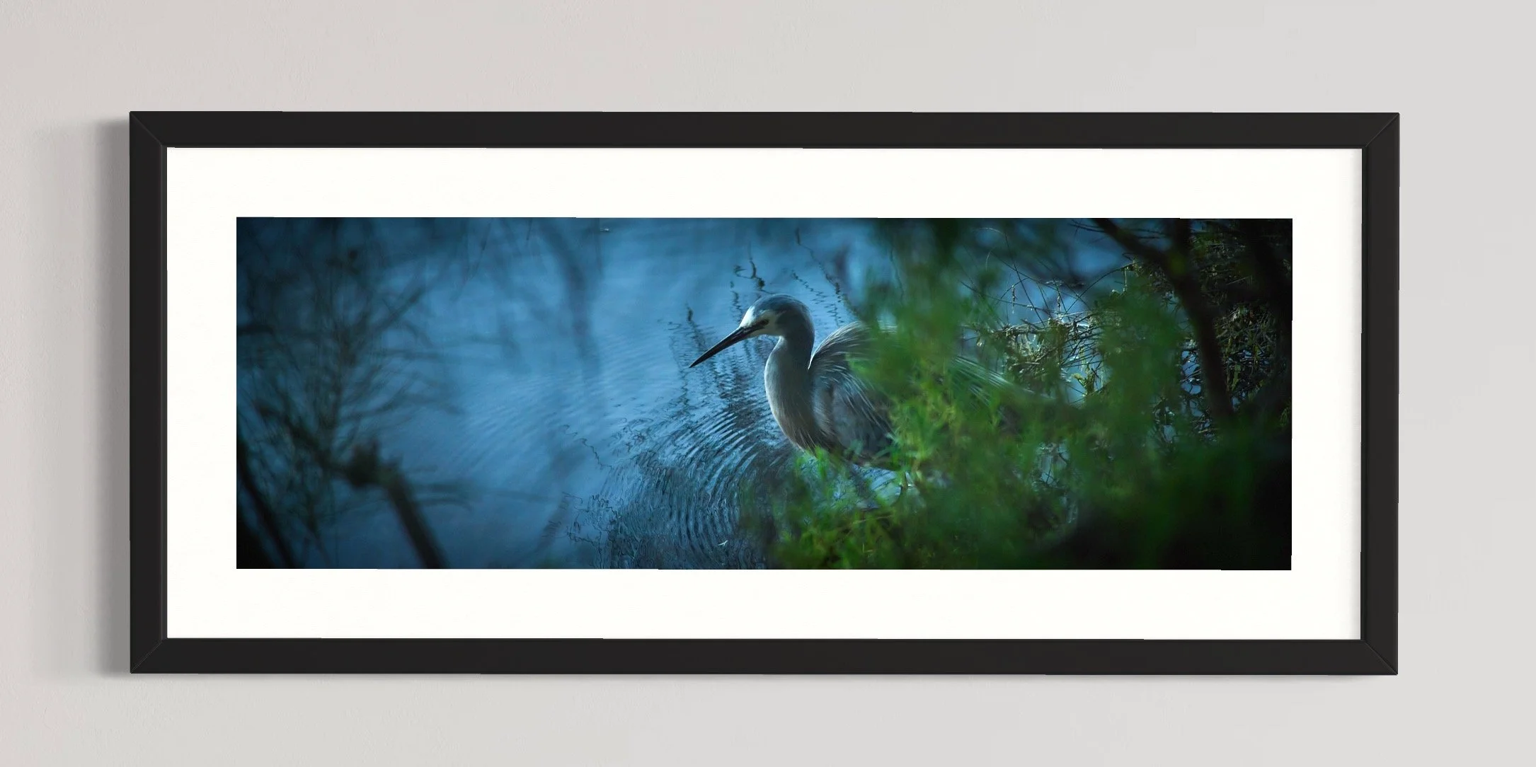 SEMD570 - Black Frame.jpg