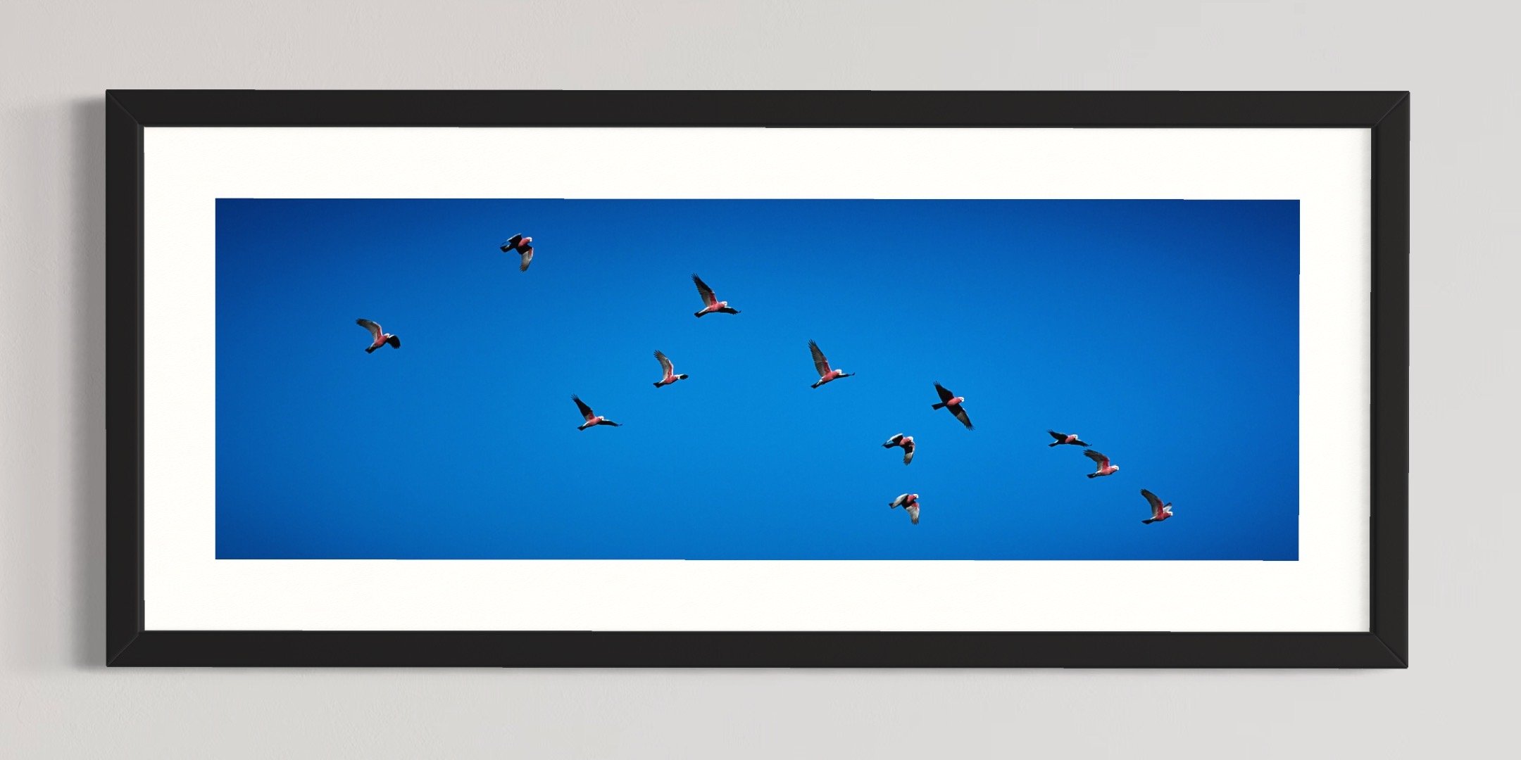 SEMD576 - Black Frame.jpg