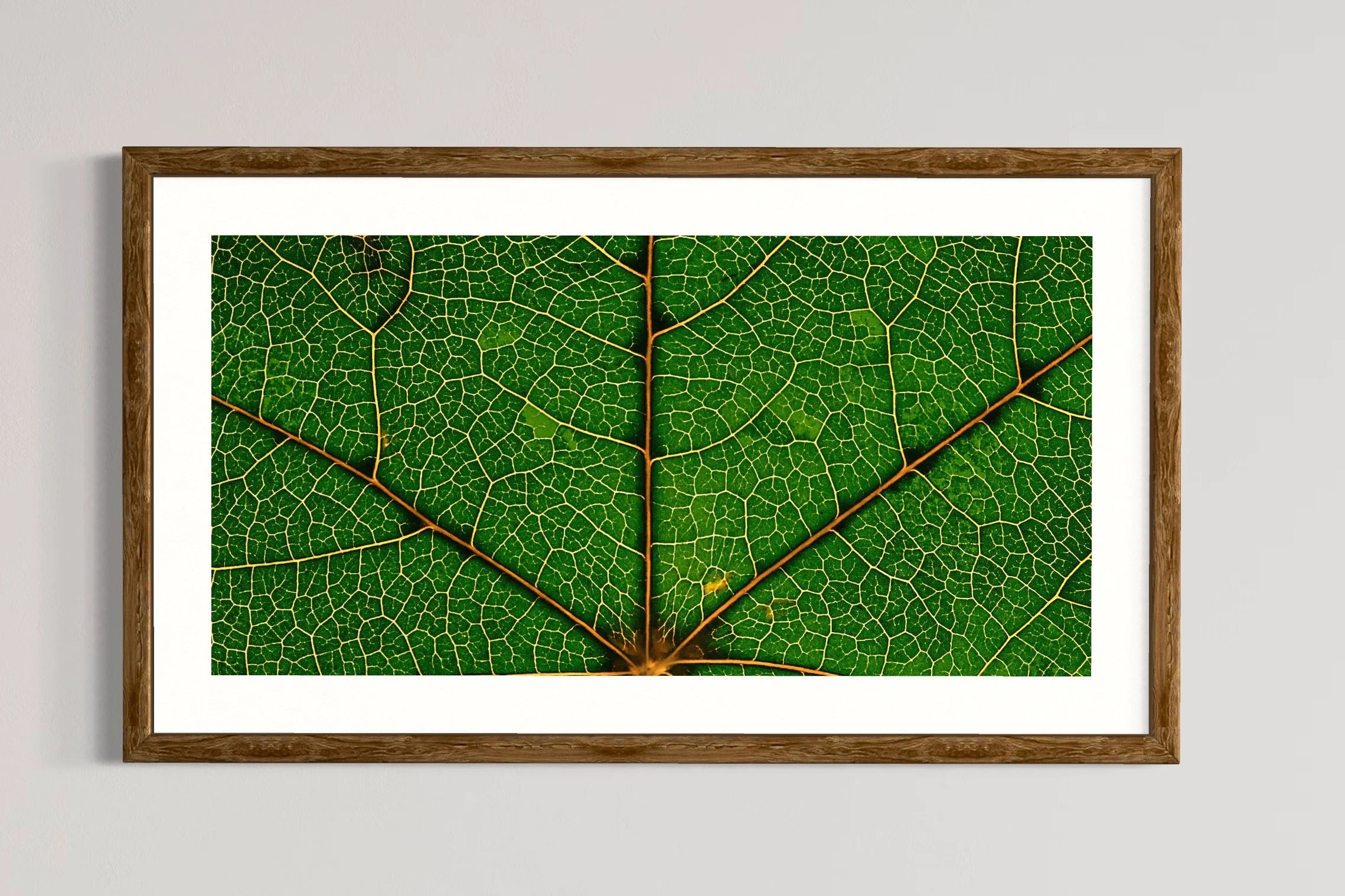 SEMD337 - Natural Wood Frame.JPG