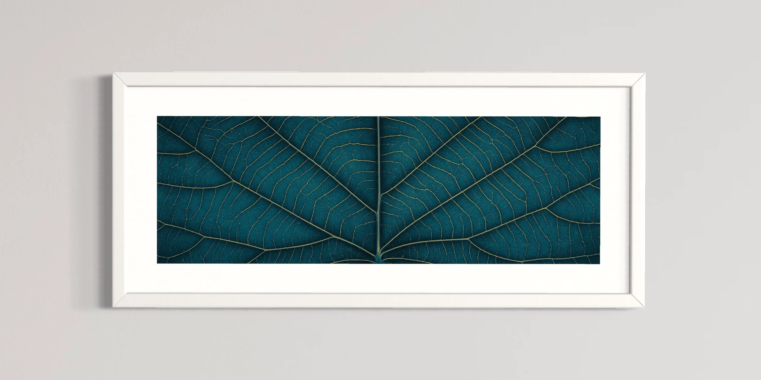 SEMD391 - White Frame.JPG