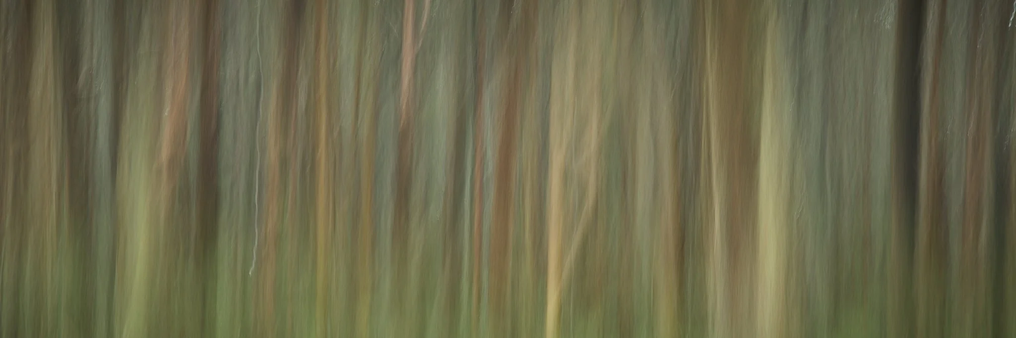 SEMD606 - DSC_5560 - Ratio 1x3.jpg