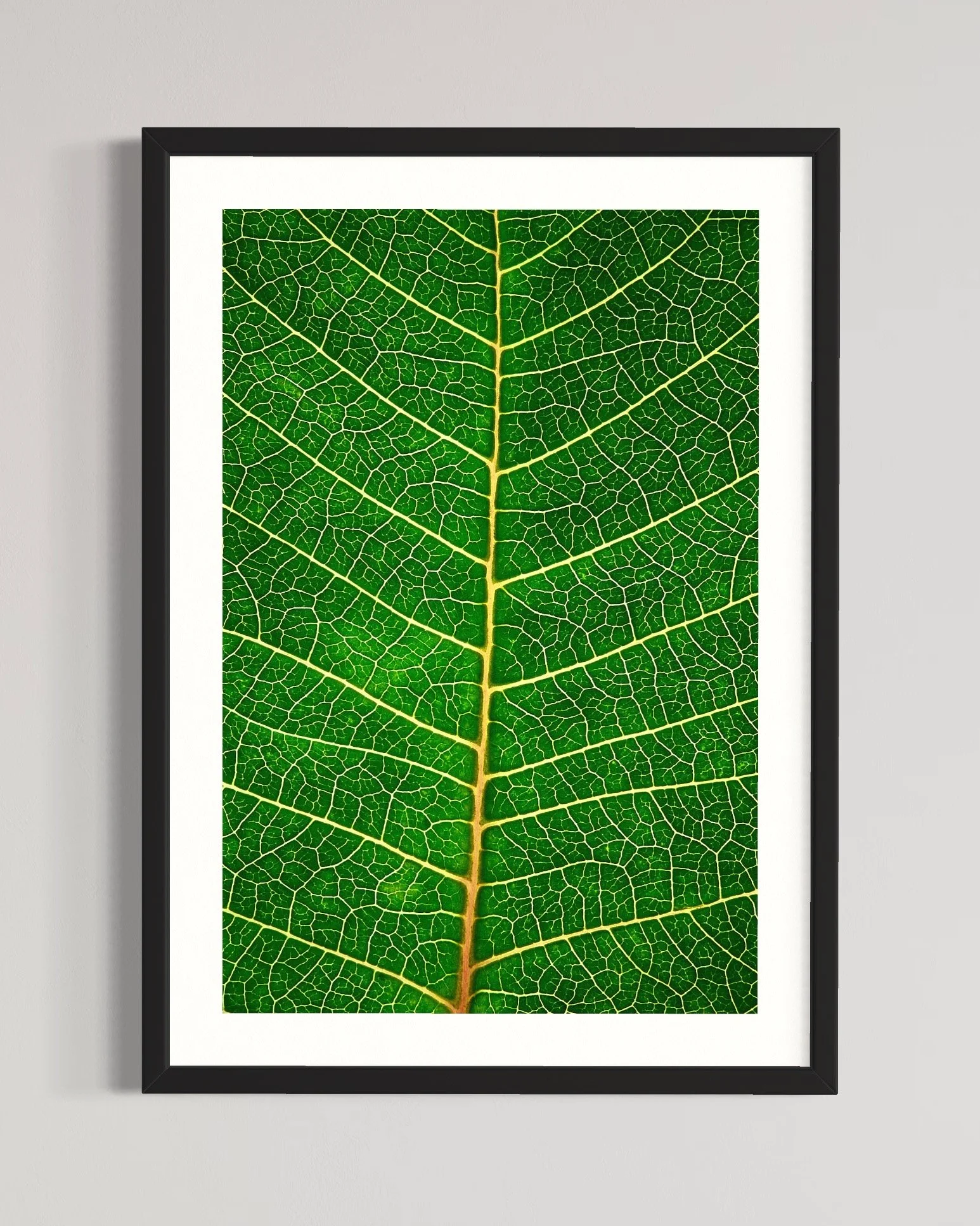 SEMD309 - Black Frame.JPG