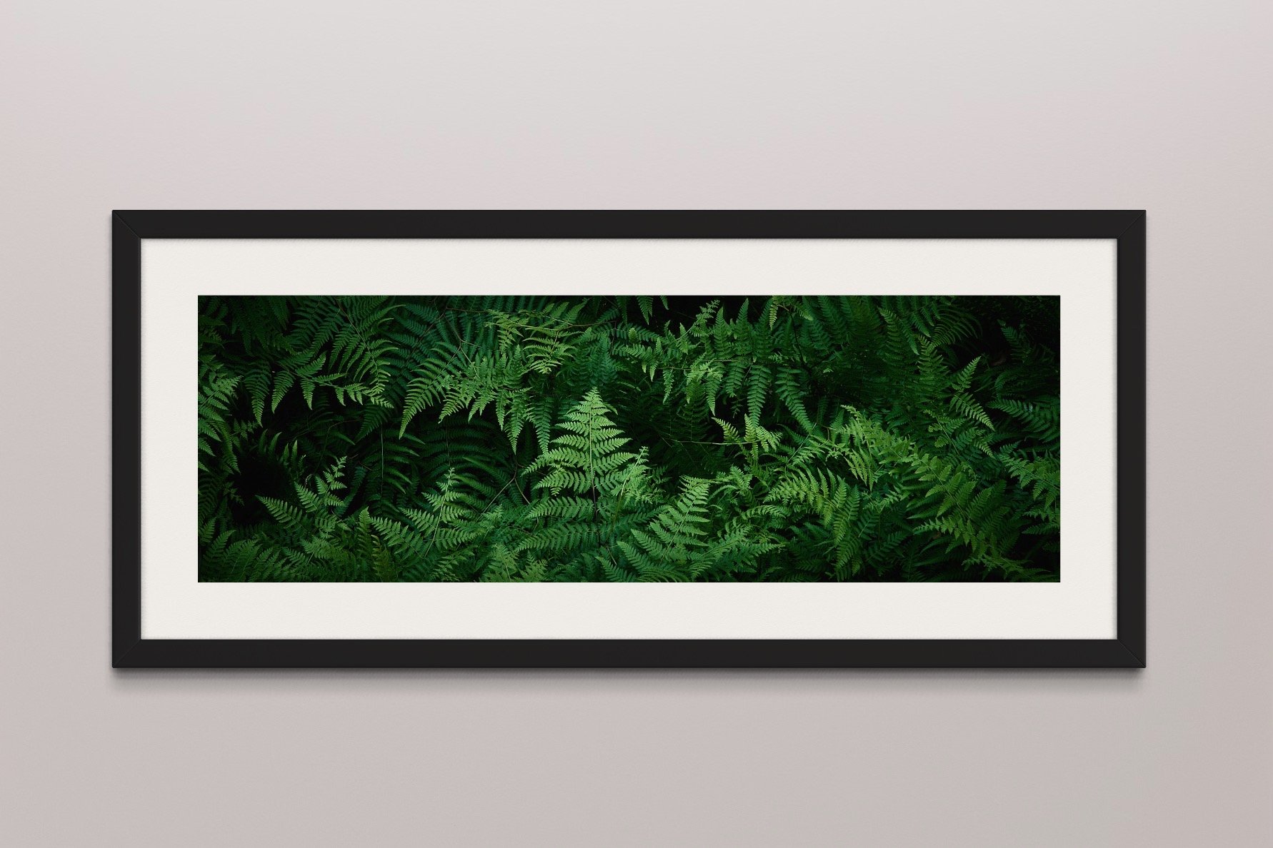 SEMD369 - Black Frame.JPG