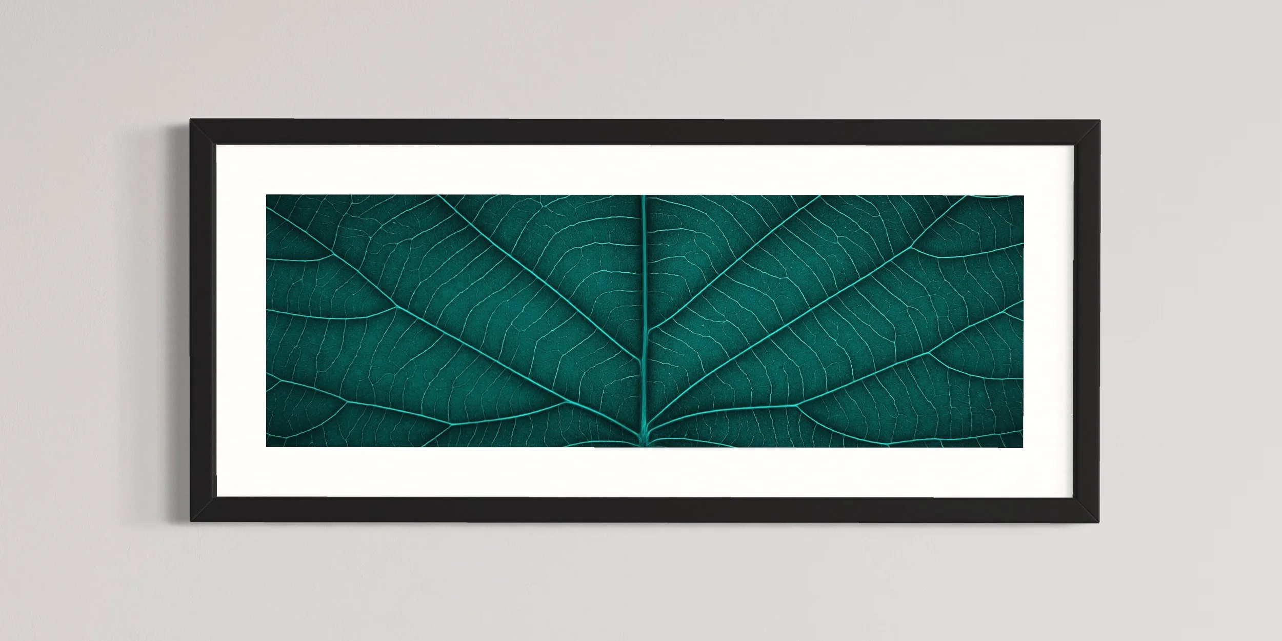 SEMD402 - Black Frame.JPG