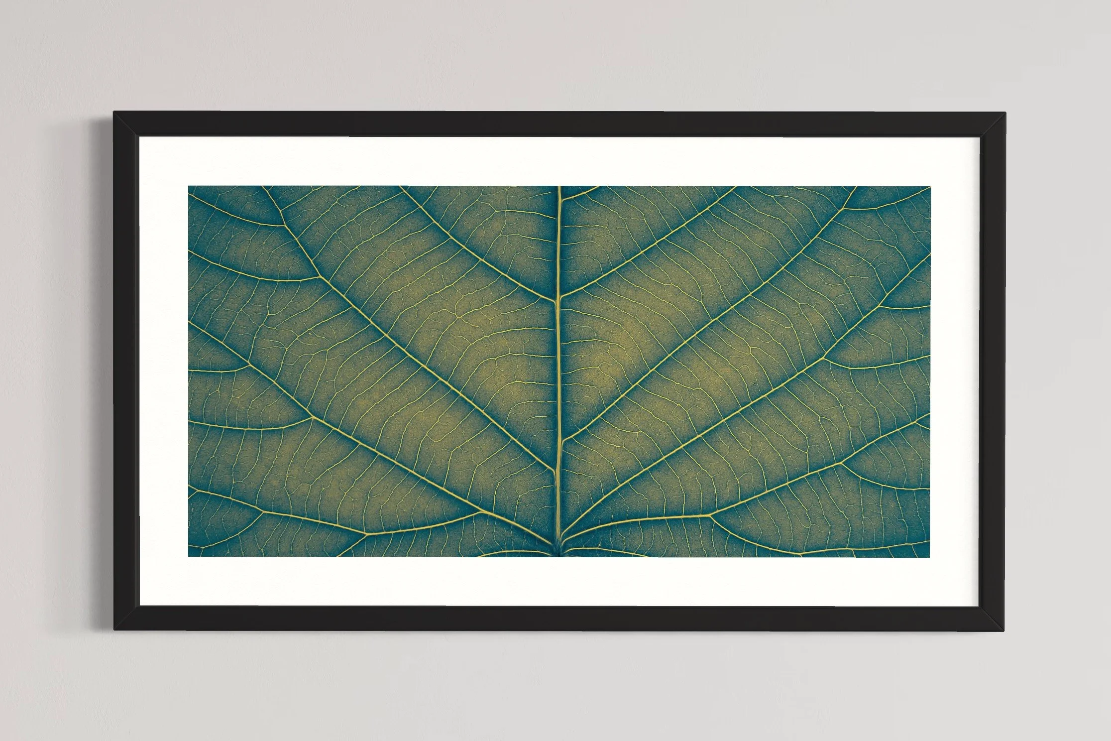 SEMD390 - Black Frame.JPG