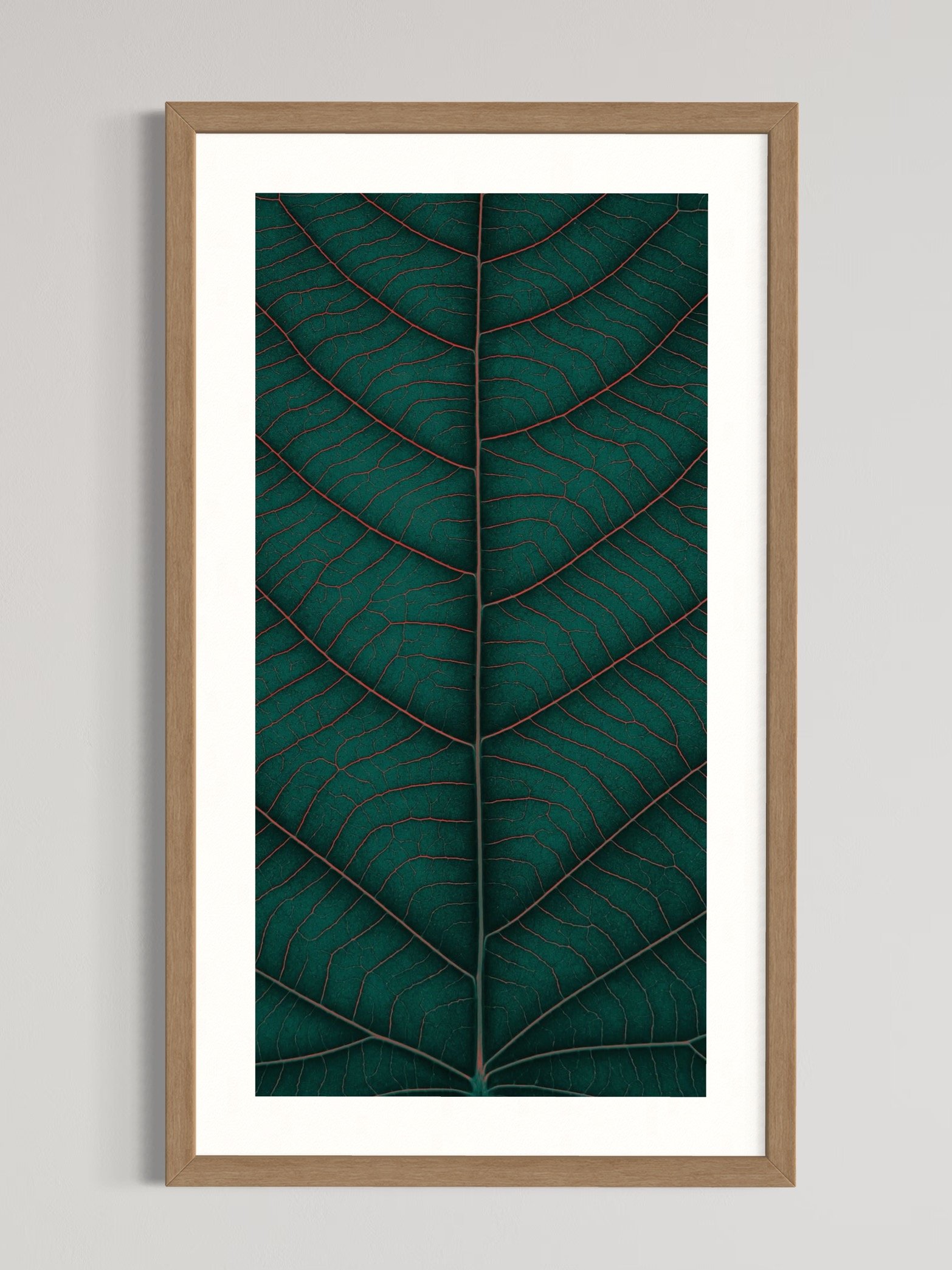 SEMD373 - Natural Light Wood Frame.jpeg