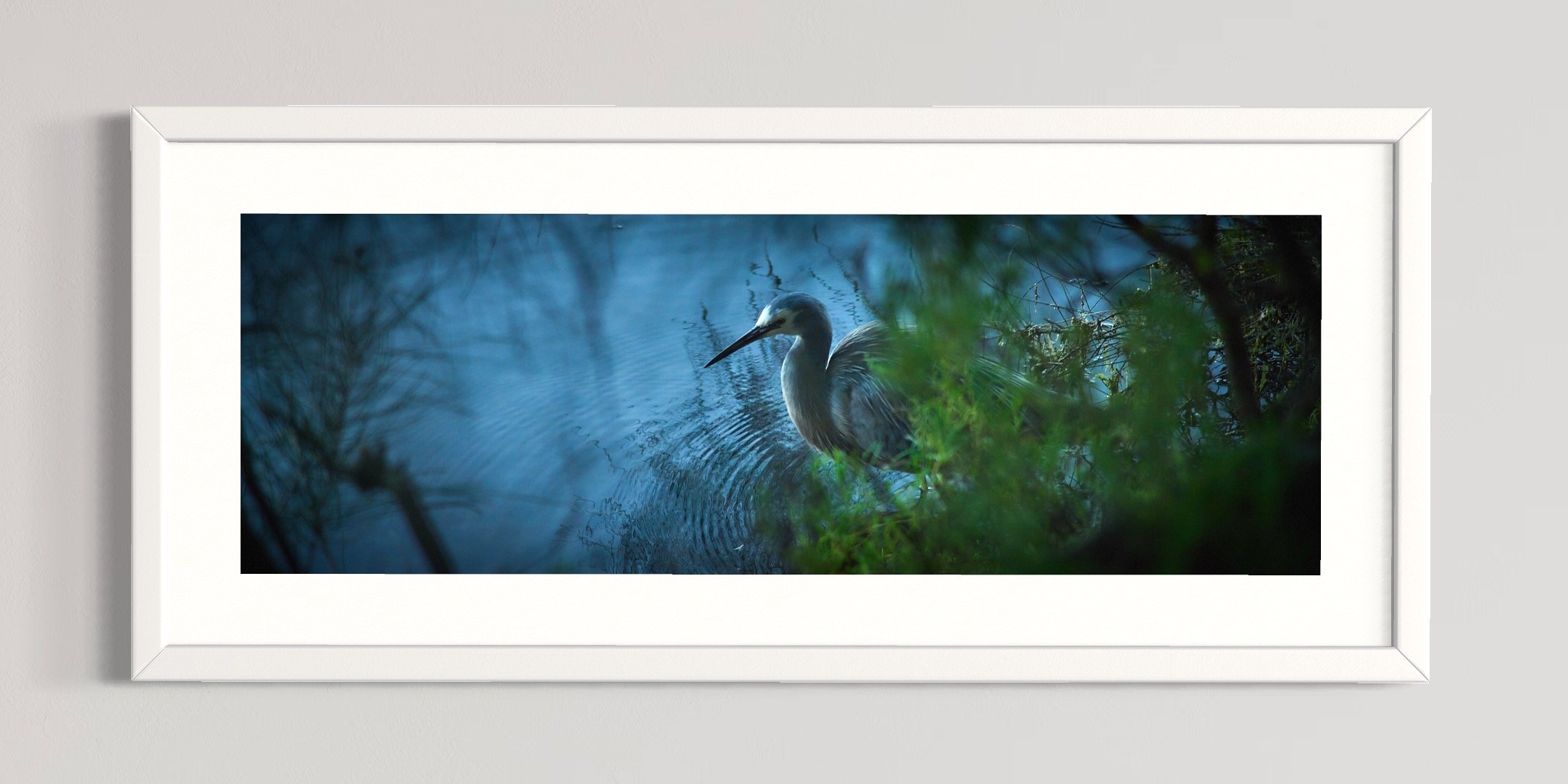 SEMD570 - White Frame.jpg