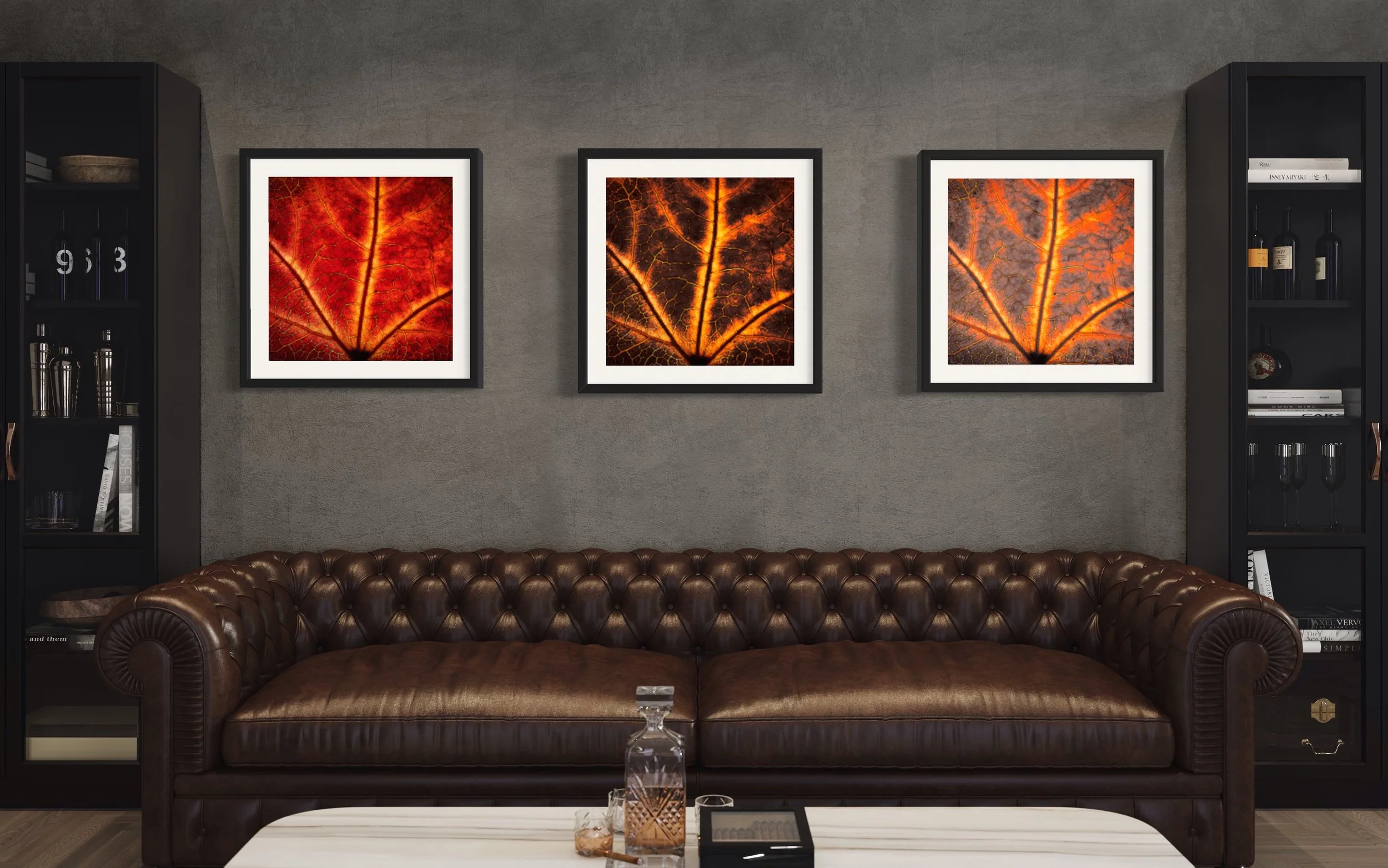 IMG_9002.JPG