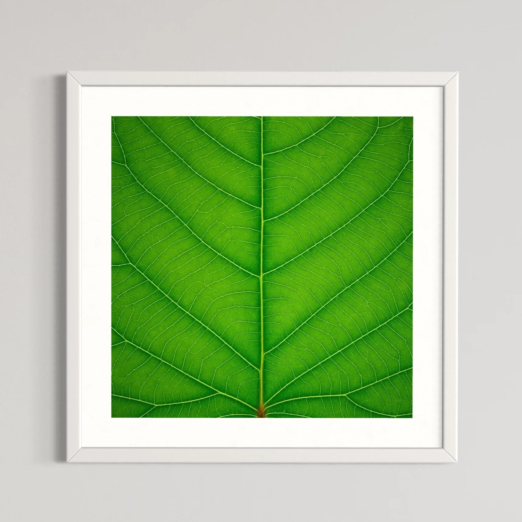 SEMD382 - White Frame.jpeg