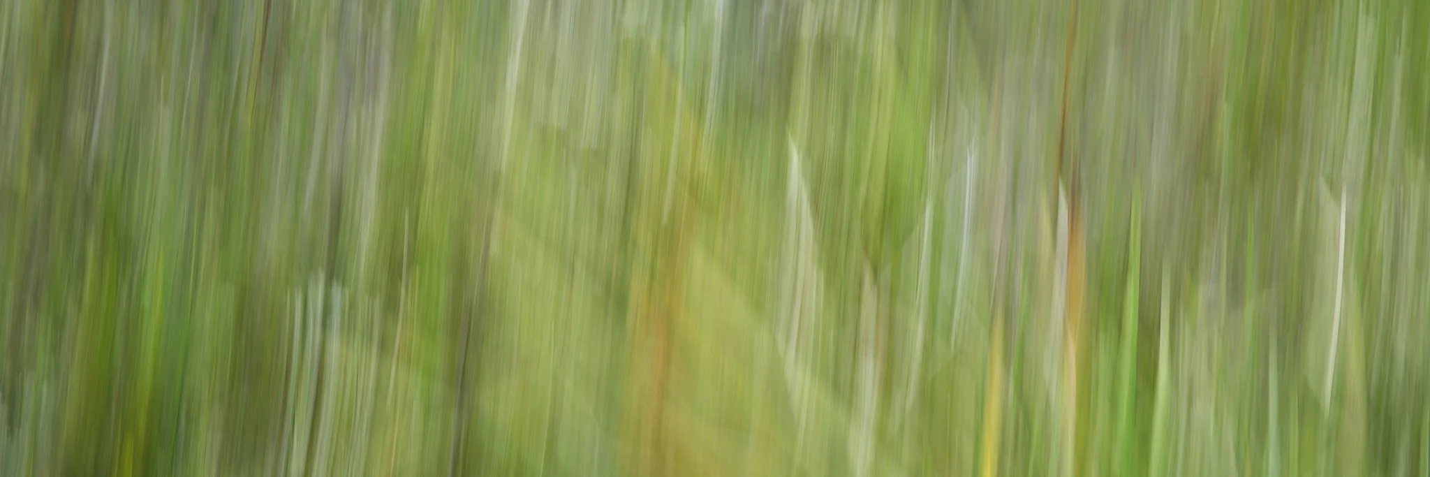SEMD567 - SEM_0165 - Ratio 1x3.jpg