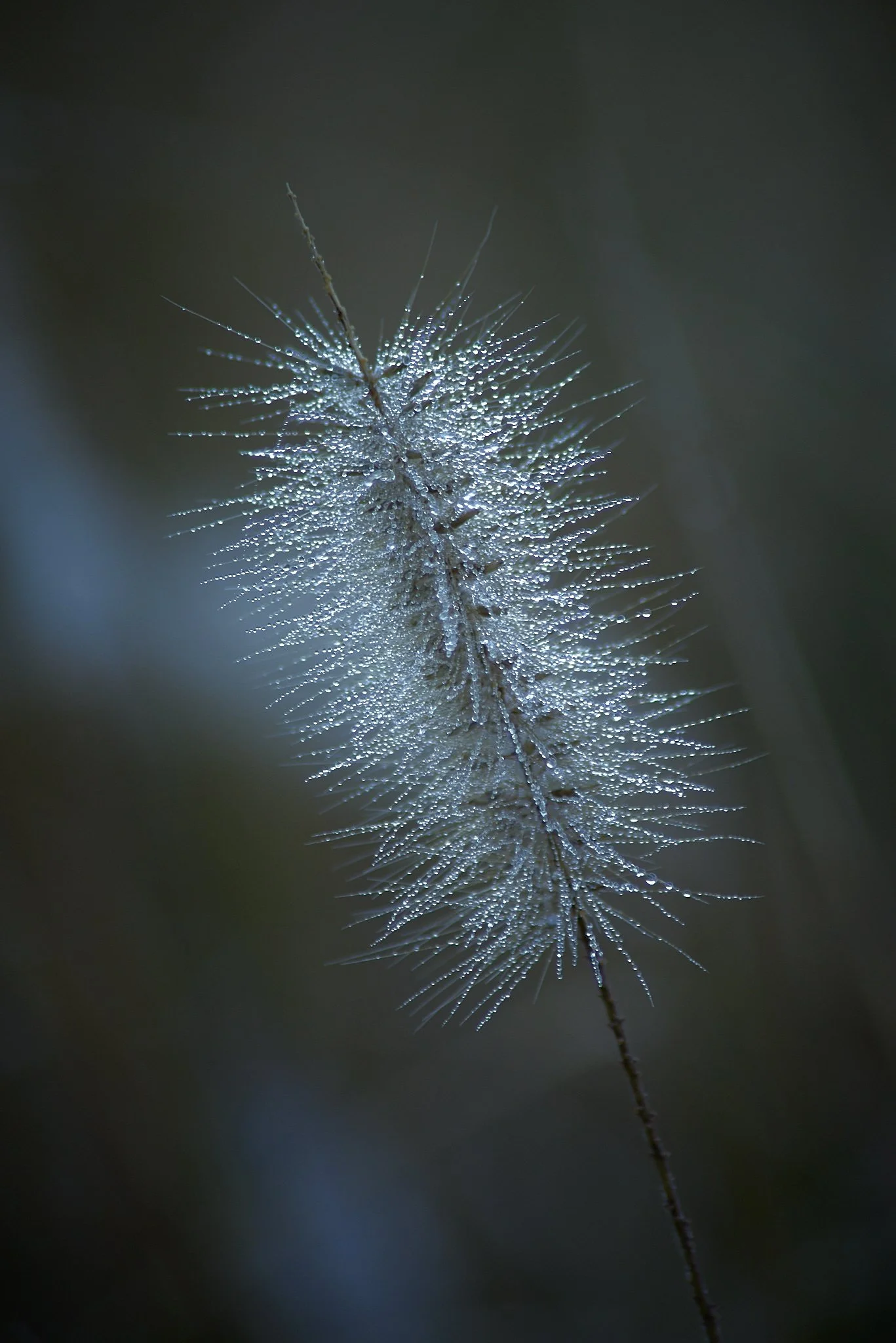 SEMD574 - SEM_1658 - Ratio 2x3.jpg
