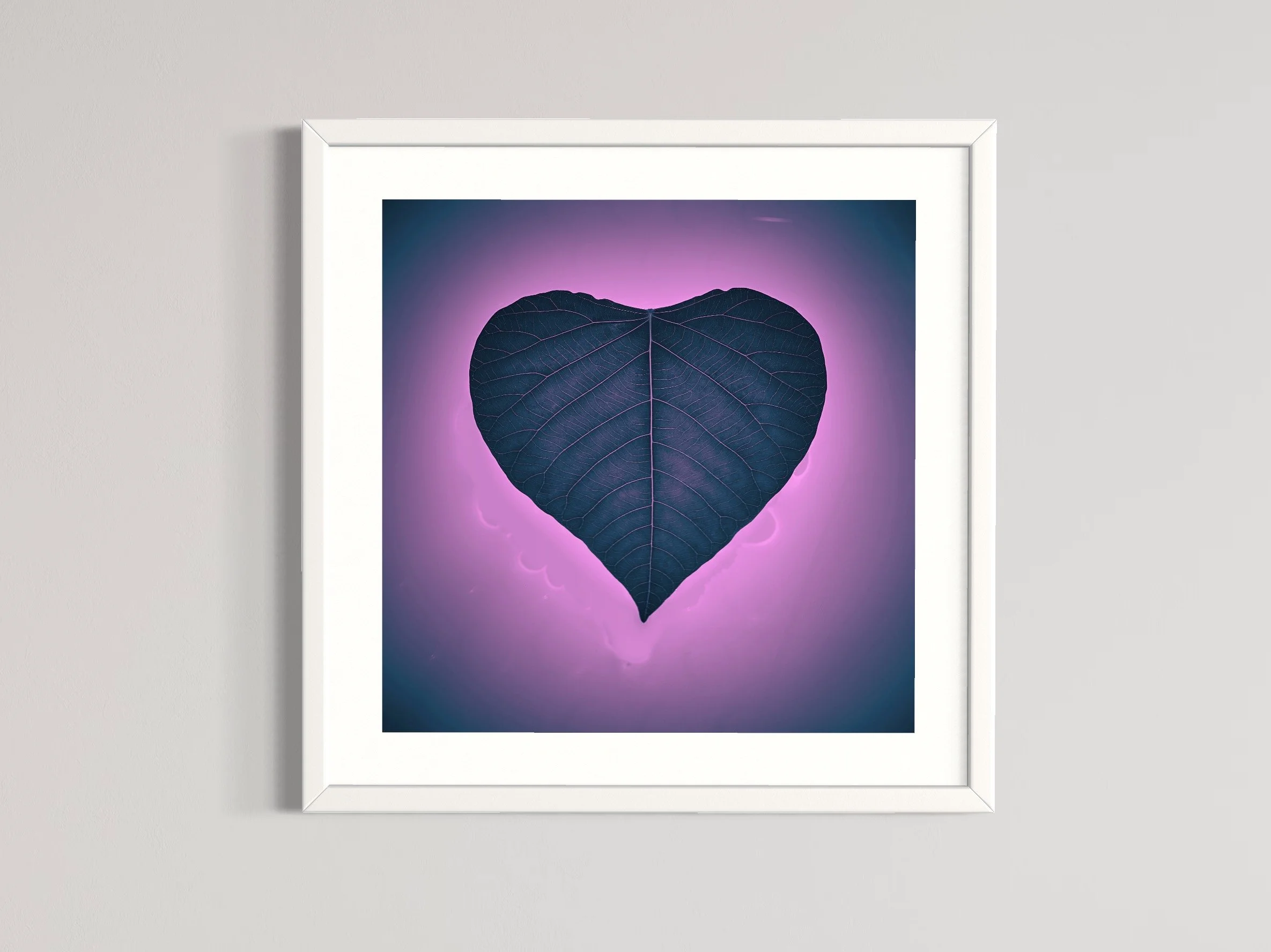 SEMD422 - White Frame.JPG