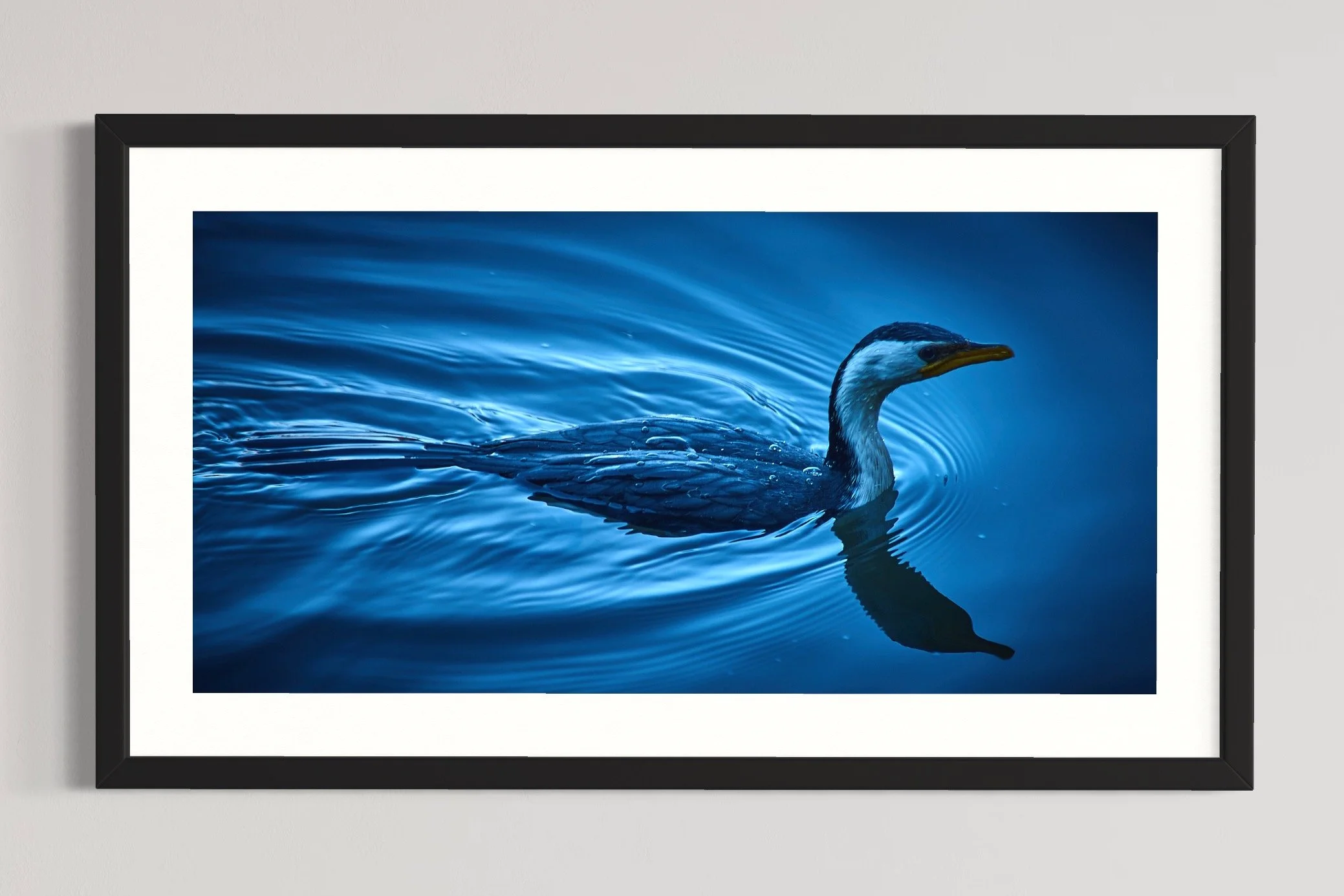 SEMD575 - Black Frame.jpg