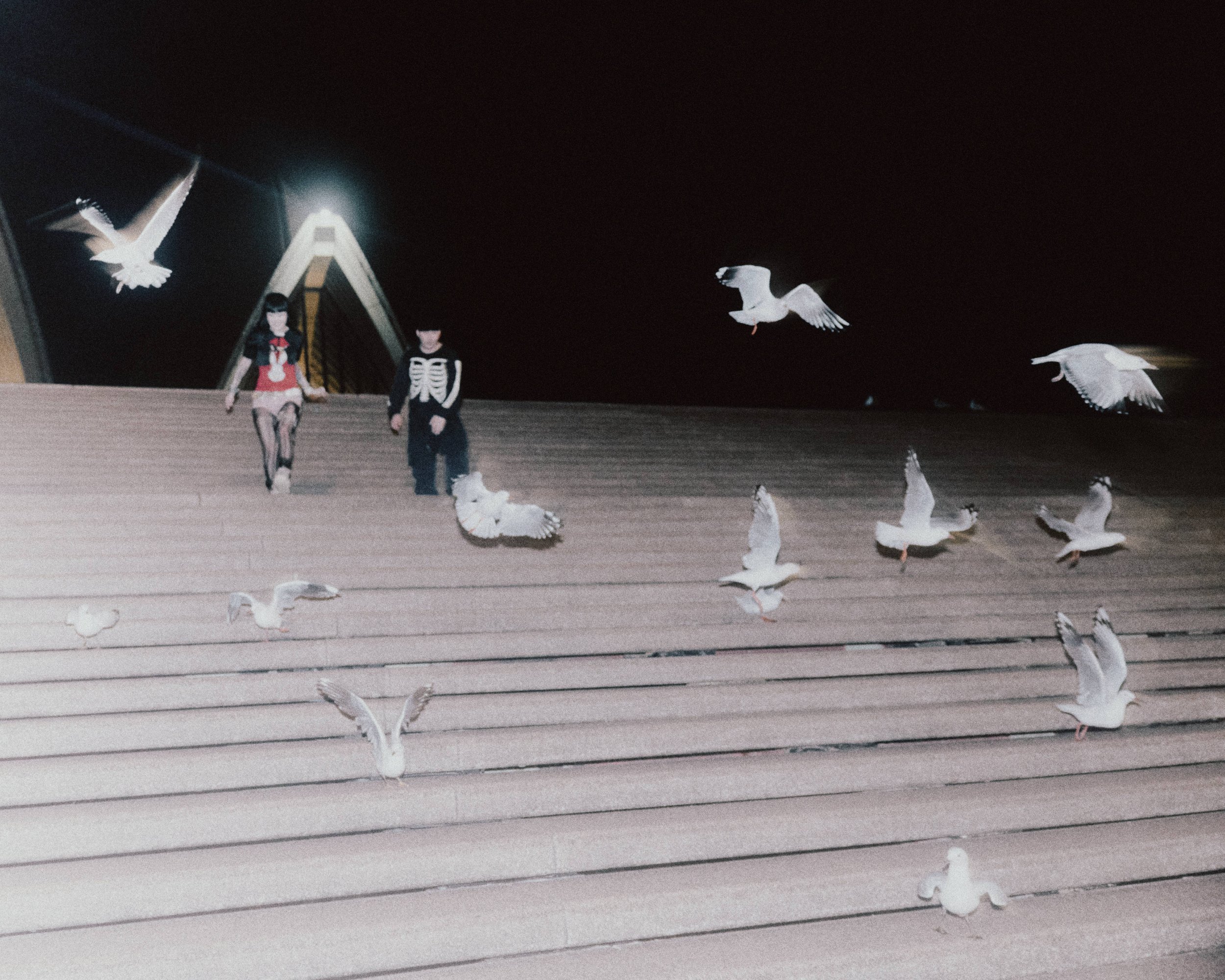 jpeg-optimizer_IMG-138.jpg