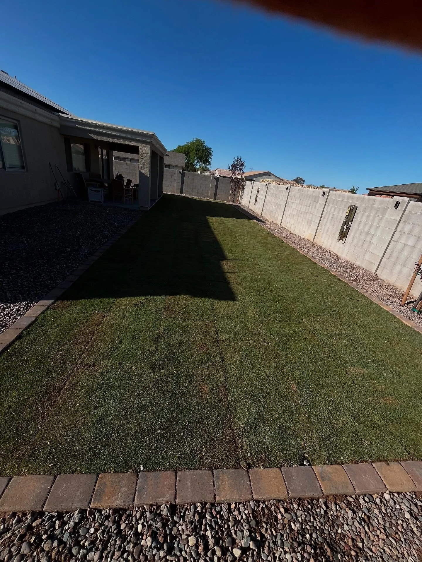 Fresh new look 🌱 Installed 15x60 ft of lush sod, ran brand new irrigation, and added two beautiful purple leaf plum trees to bring some color and shade to the space. Another yard transformation complete!

#BacsonLandscaping #SodInstallation #Irrigat