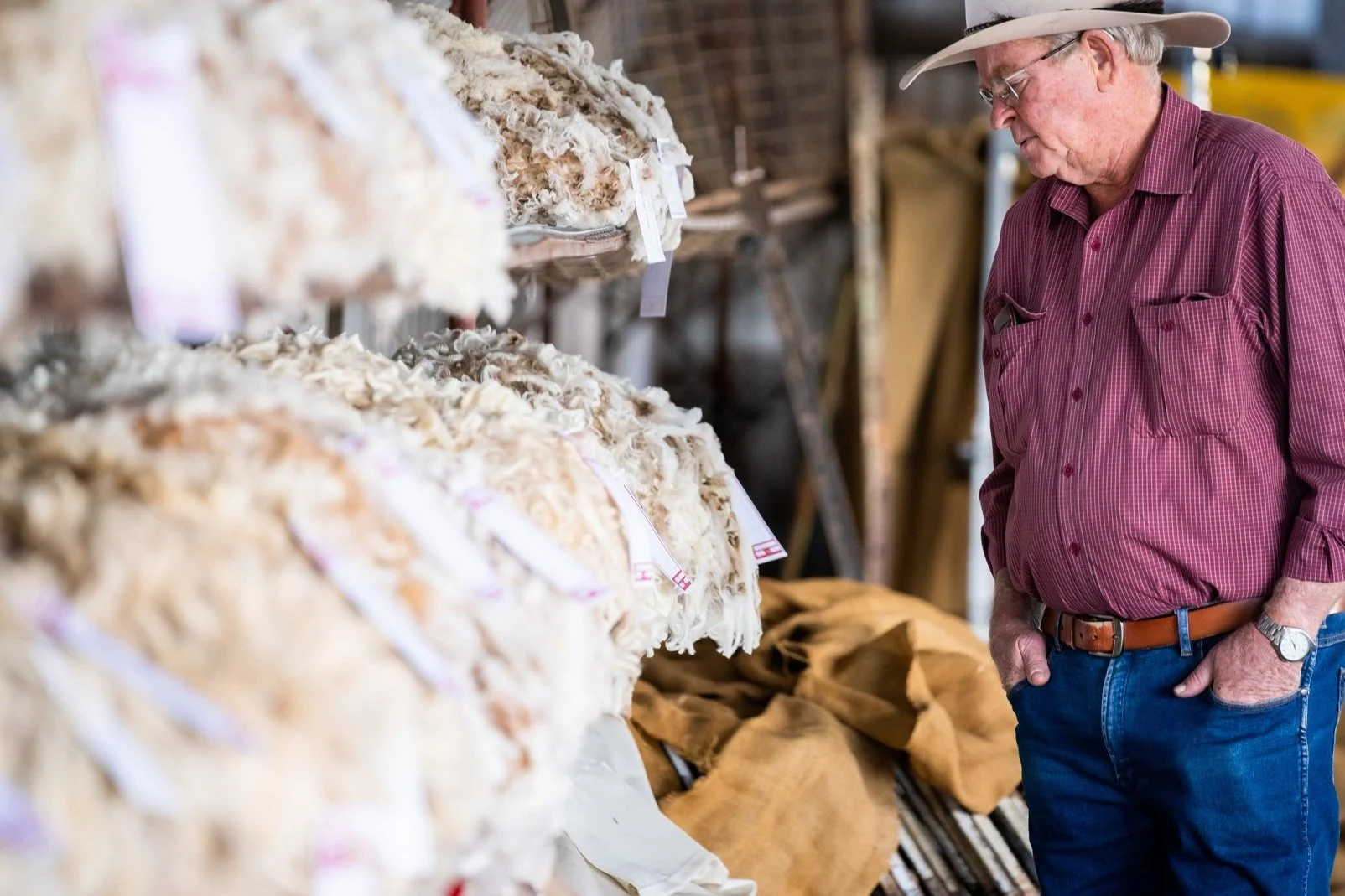 Wool Sections — StGeorgeShow