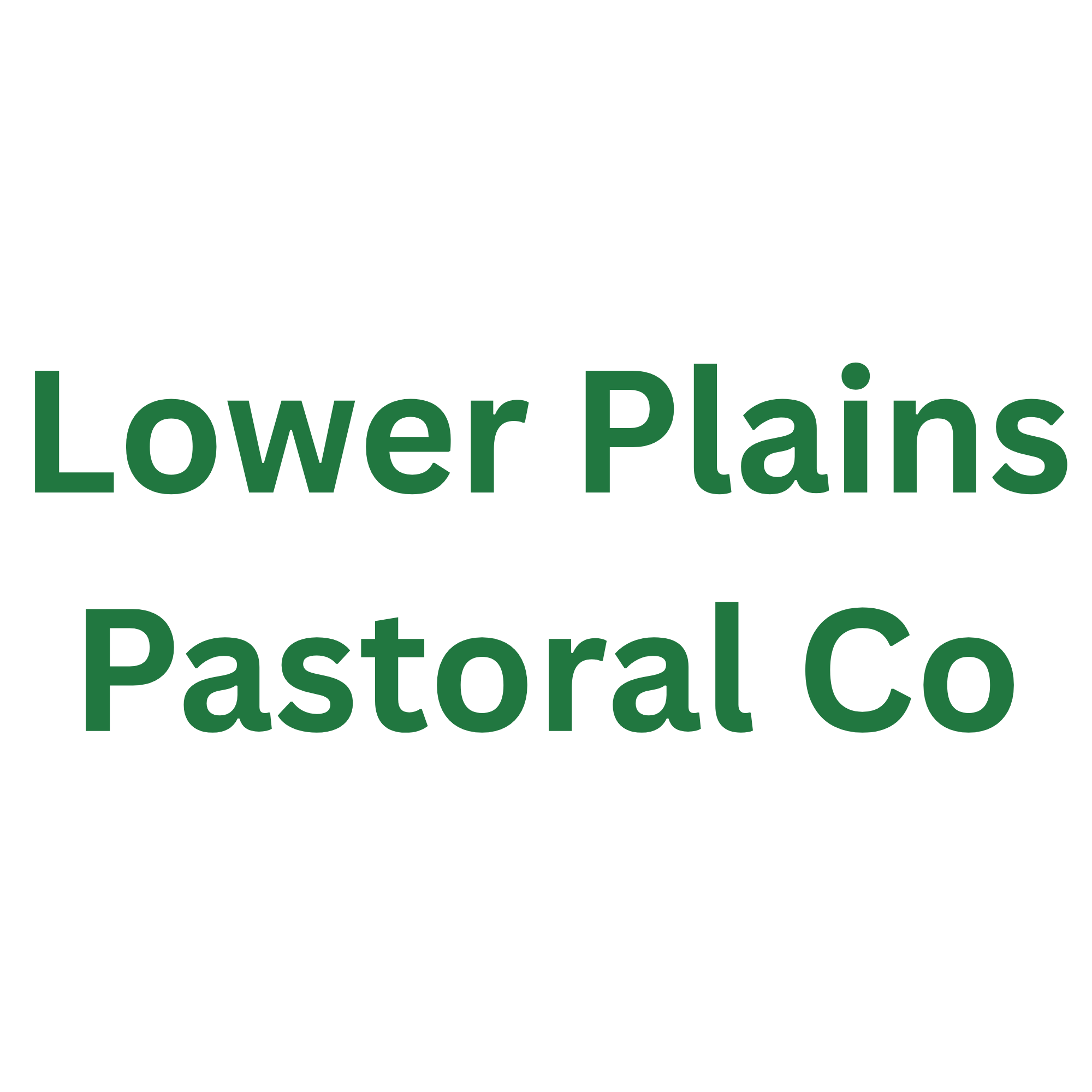 Lower Plains Pastoral Co.png