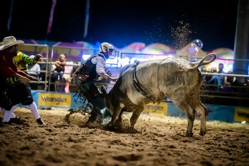 StGeorgeShow