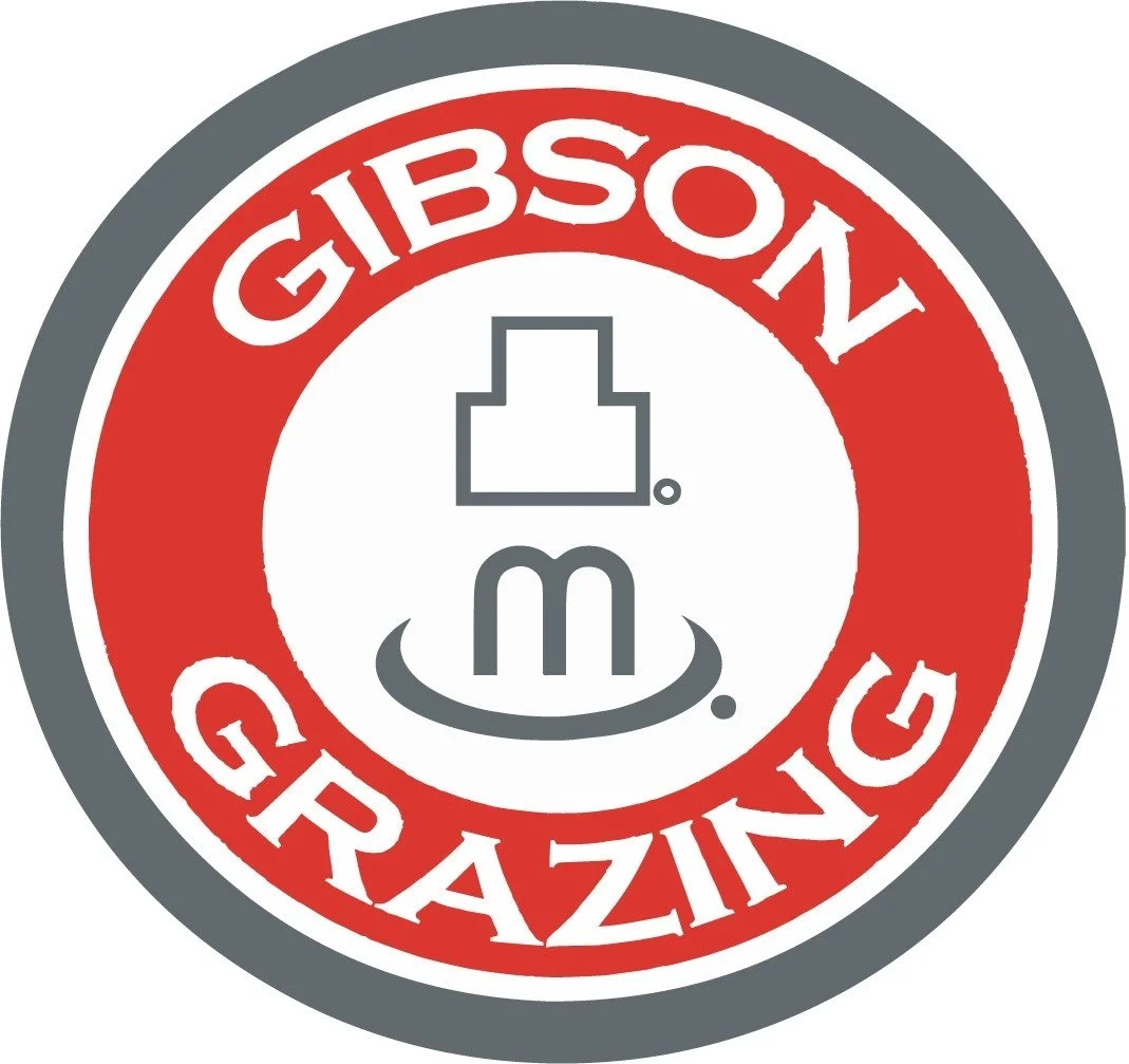 Gibson Grazing.jpg