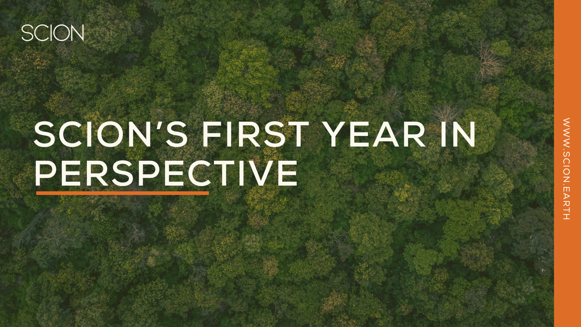 SCION’s First Year in Perspective