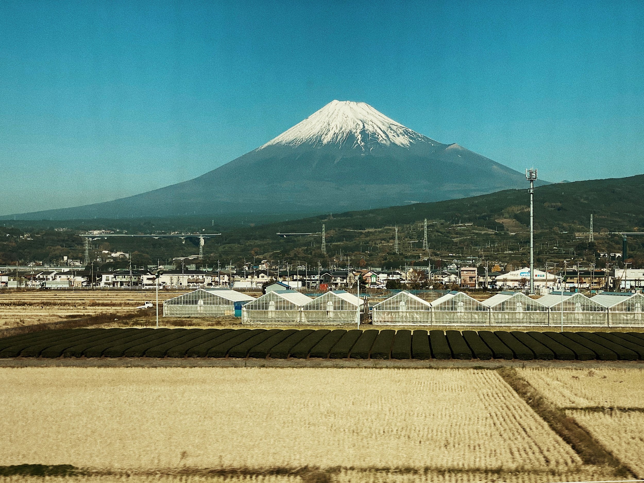 DA958975-67DF-4608-AF48-5F4B88896654.jpeg