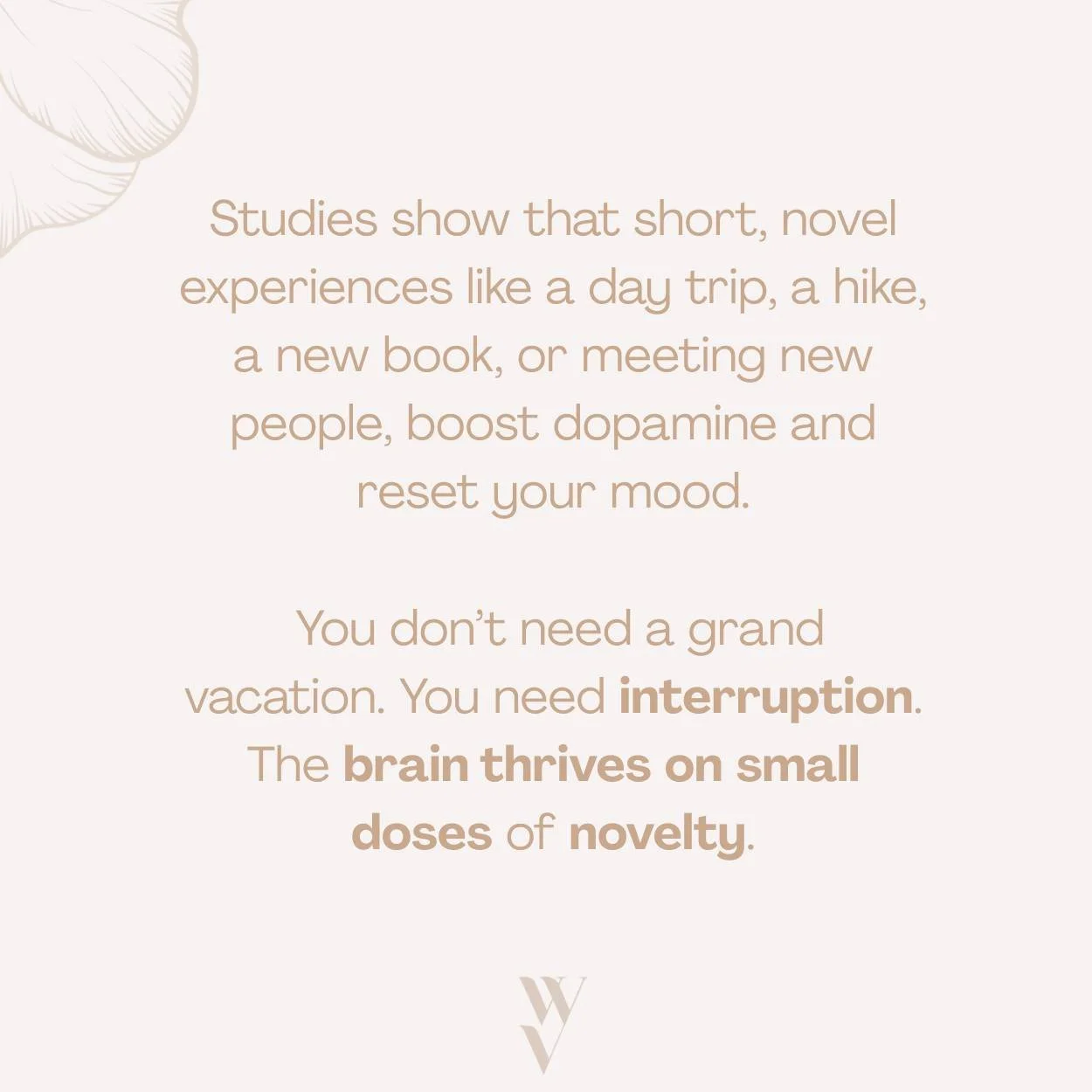Did you know your brain thrives on new experiences? 

Thanks to neuroplasticity (the brain&rsquo;s ability to adapt and form new connections), trying something new sparks dopamine, the &ldquo;feel-good&rdquo; chemical that boosts pleasure, motivation