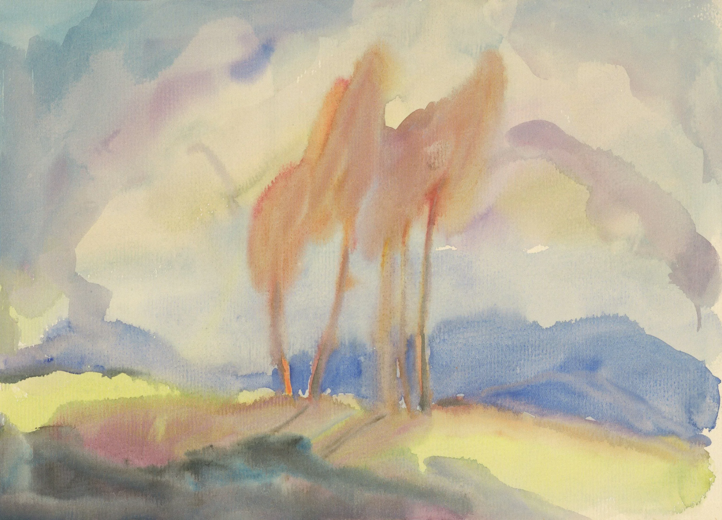 townhouse development feasibility experts melbourne