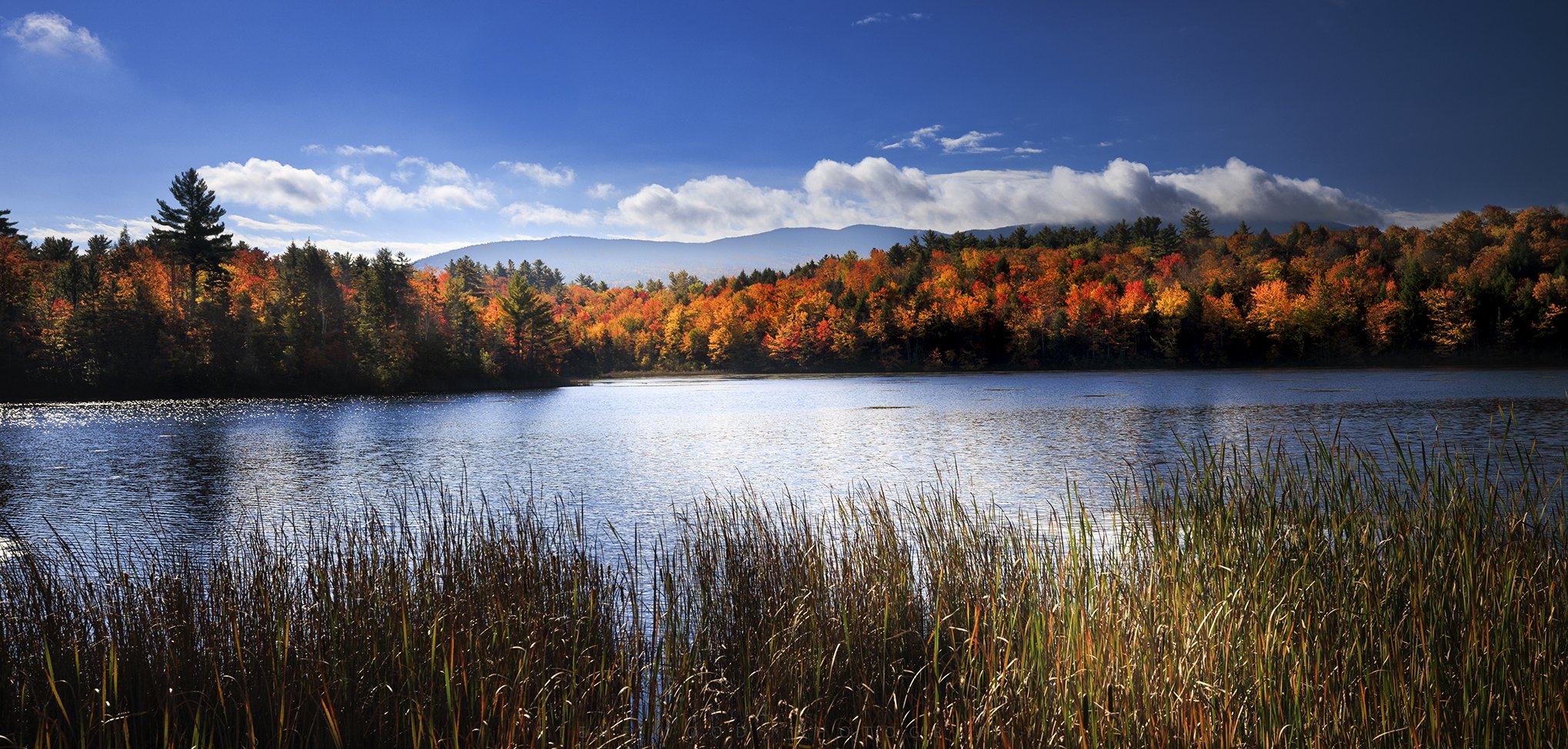 new hampshire-4 copy.jpg