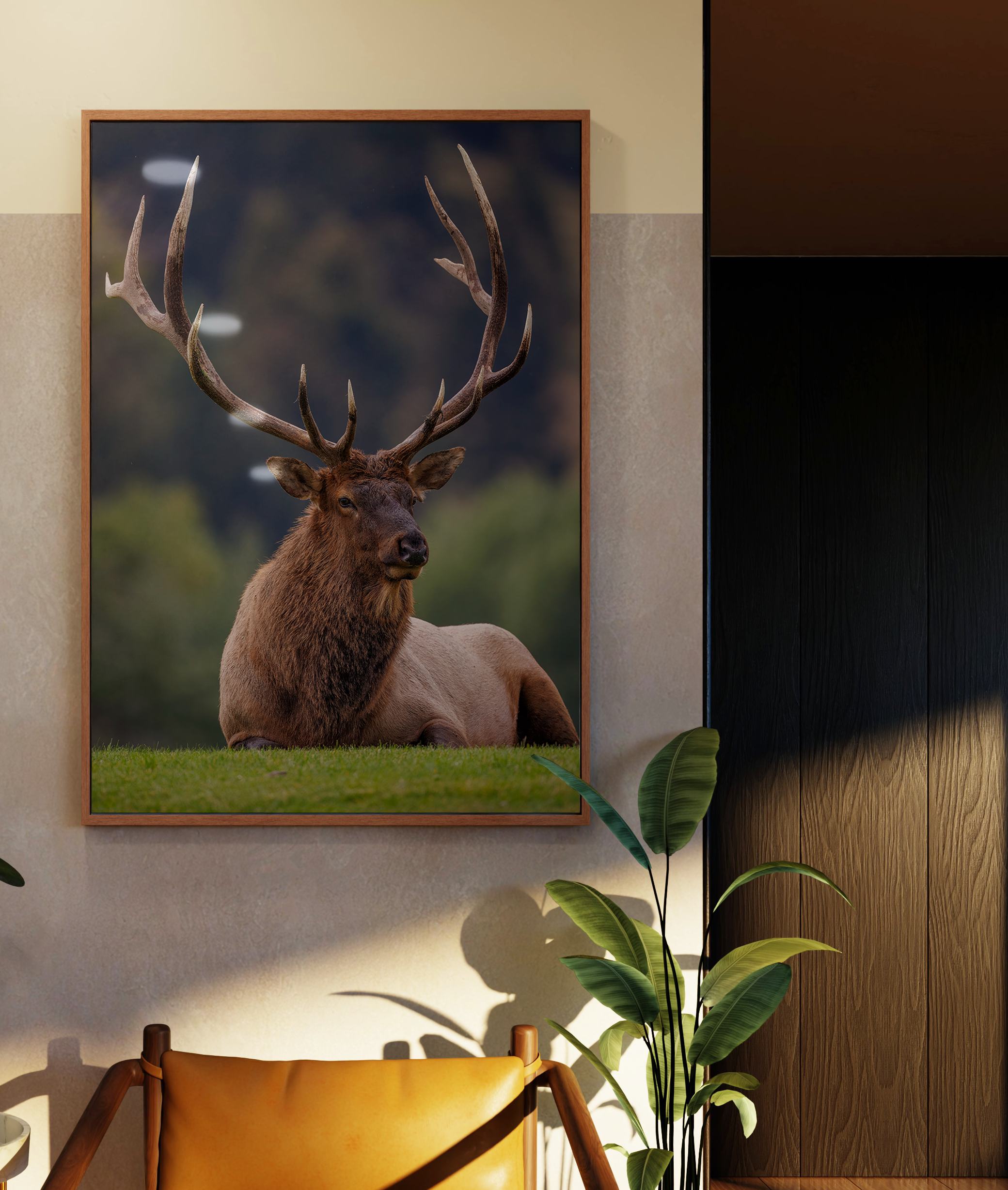 Elk_Mockup.png