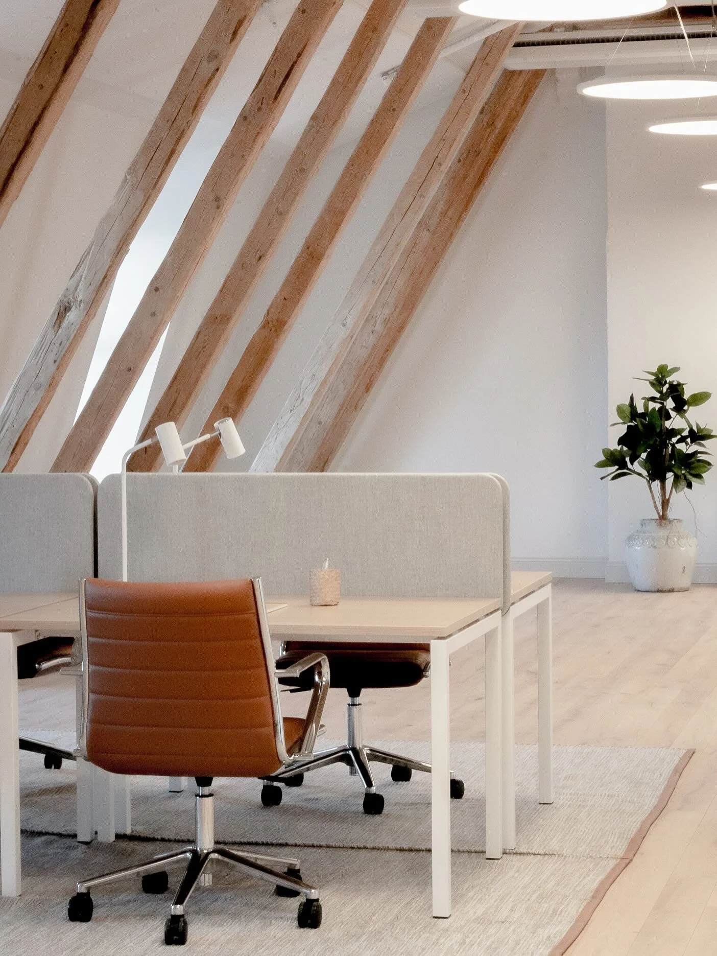 Hos AW Deco skapar vi milj&ouml;er som f&aring;r m&auml;nniskor att trivas ✨
 Vi arbetar med inredning f&ouml;r b&aring;de kommersiella och offentliga milj&ouml;er, fr&aring;n id&eacute; till f&auml;rdigt rum.

V&aring;r passion ligger i att hitta r&