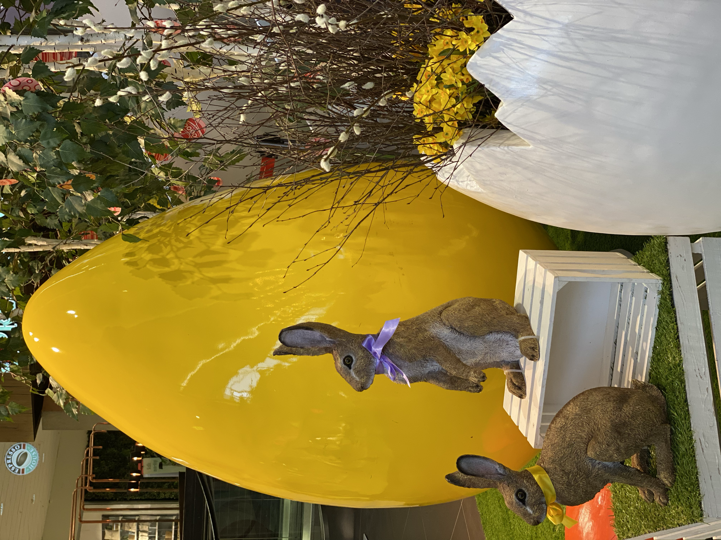tempImagea8F6JH.png