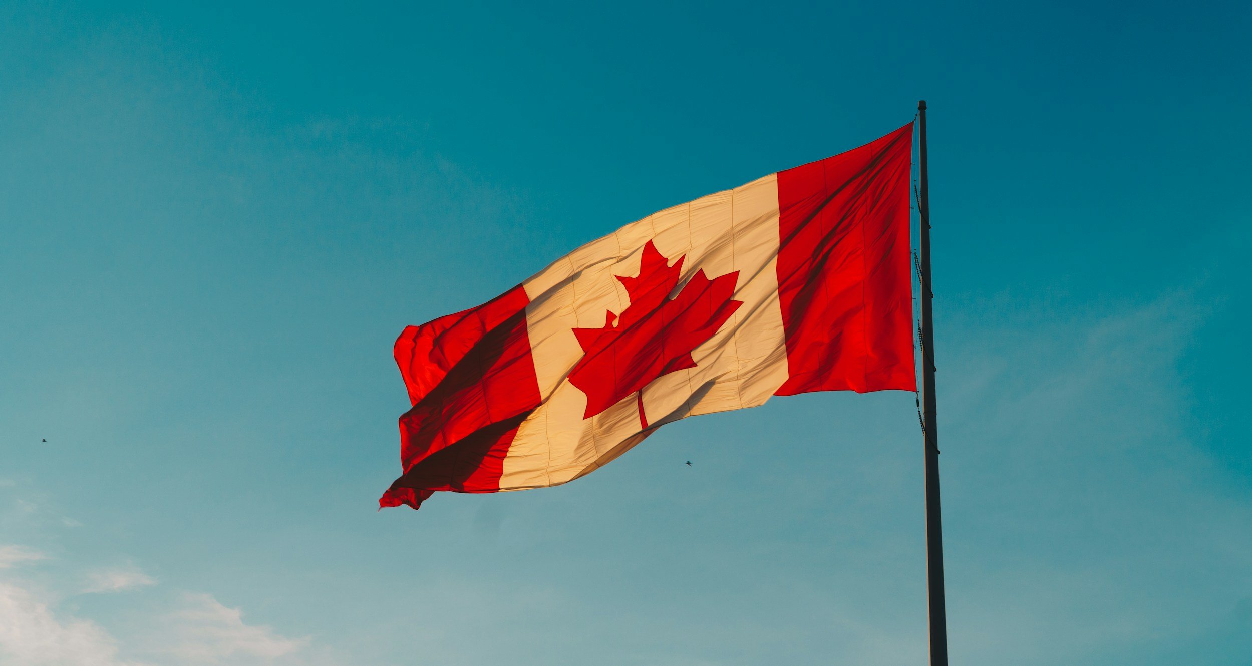 AI Boosts Sales and Confidence for Canadian Small Businesses, GoDaddy Study Finds
