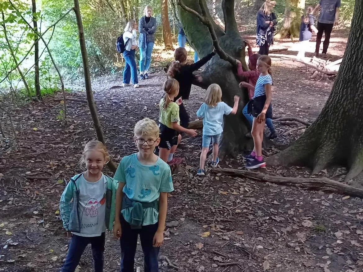 Ausflug in den Wald