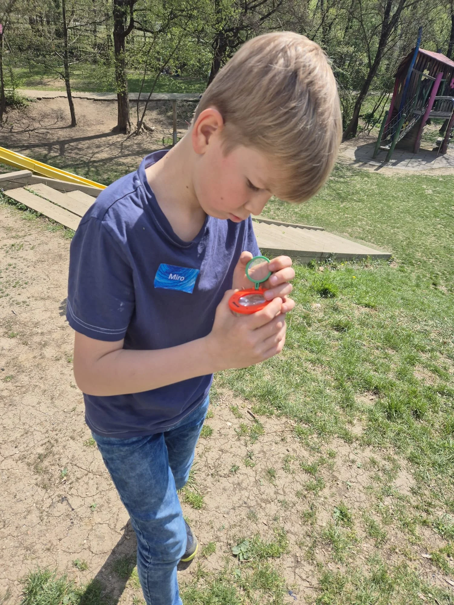 Schulhoferforschung (6).jpg