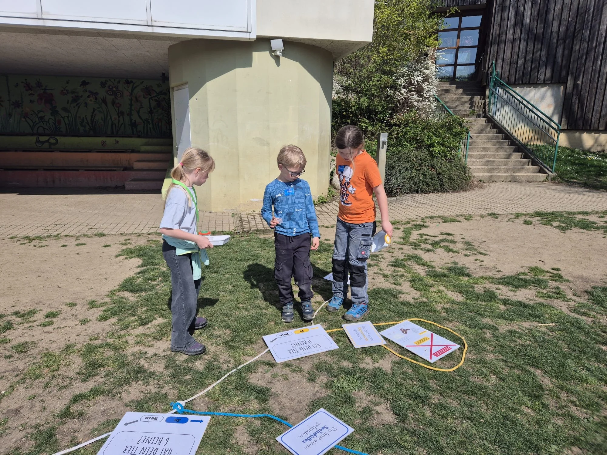 Schulhoferforschung (2).jpg