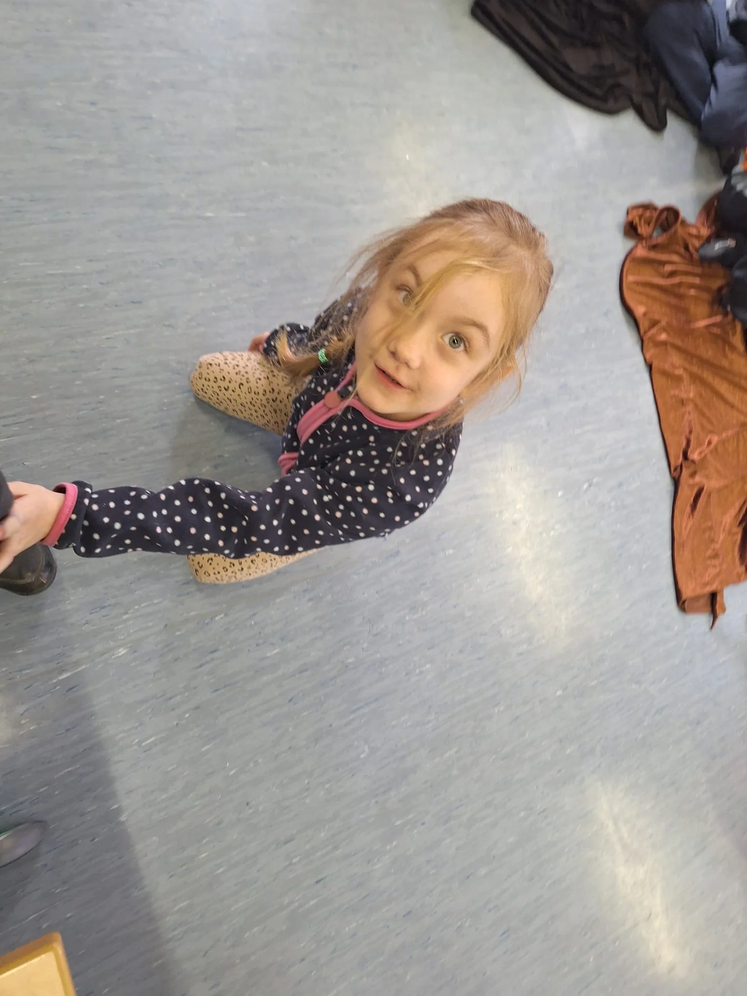 Wir sind Katzen (4).jpeg